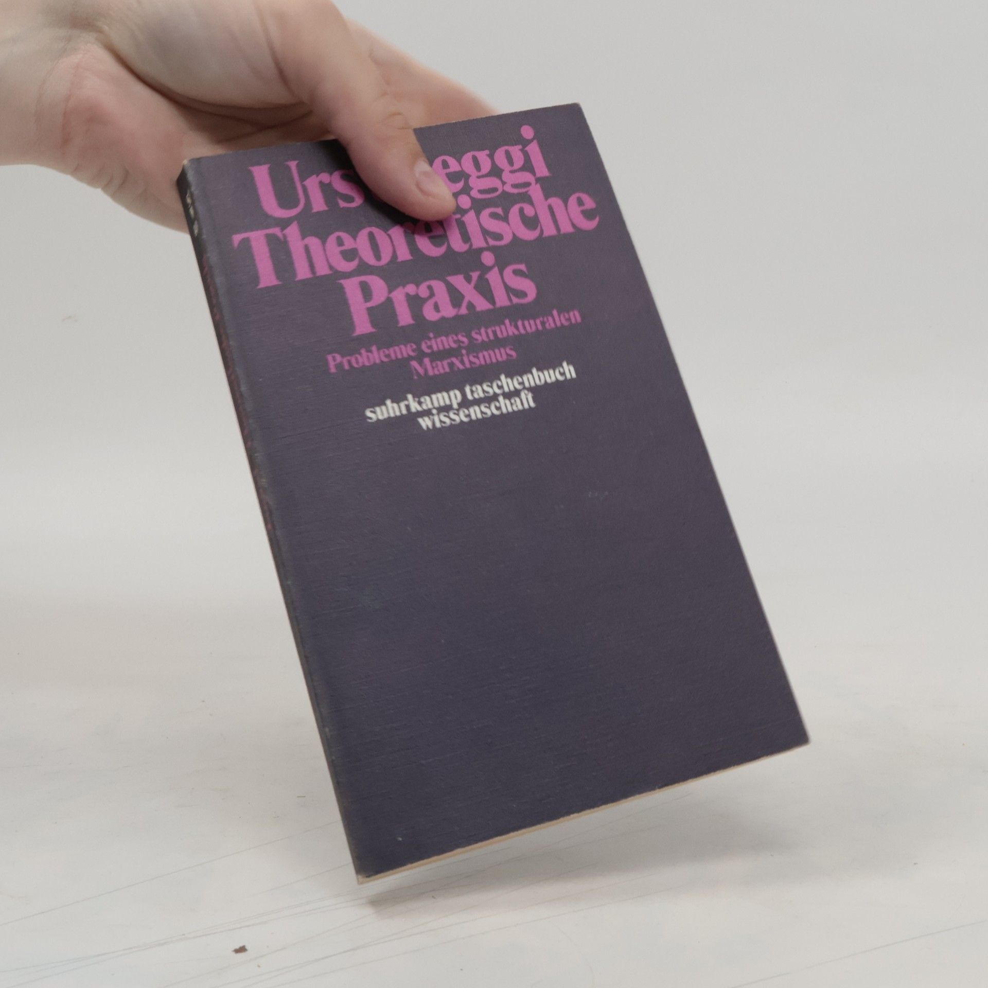 Urs Jaeggi Theoretische Praxis