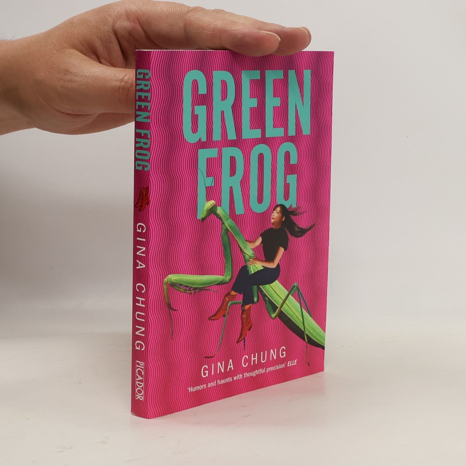 Gina Chung Green Frog
