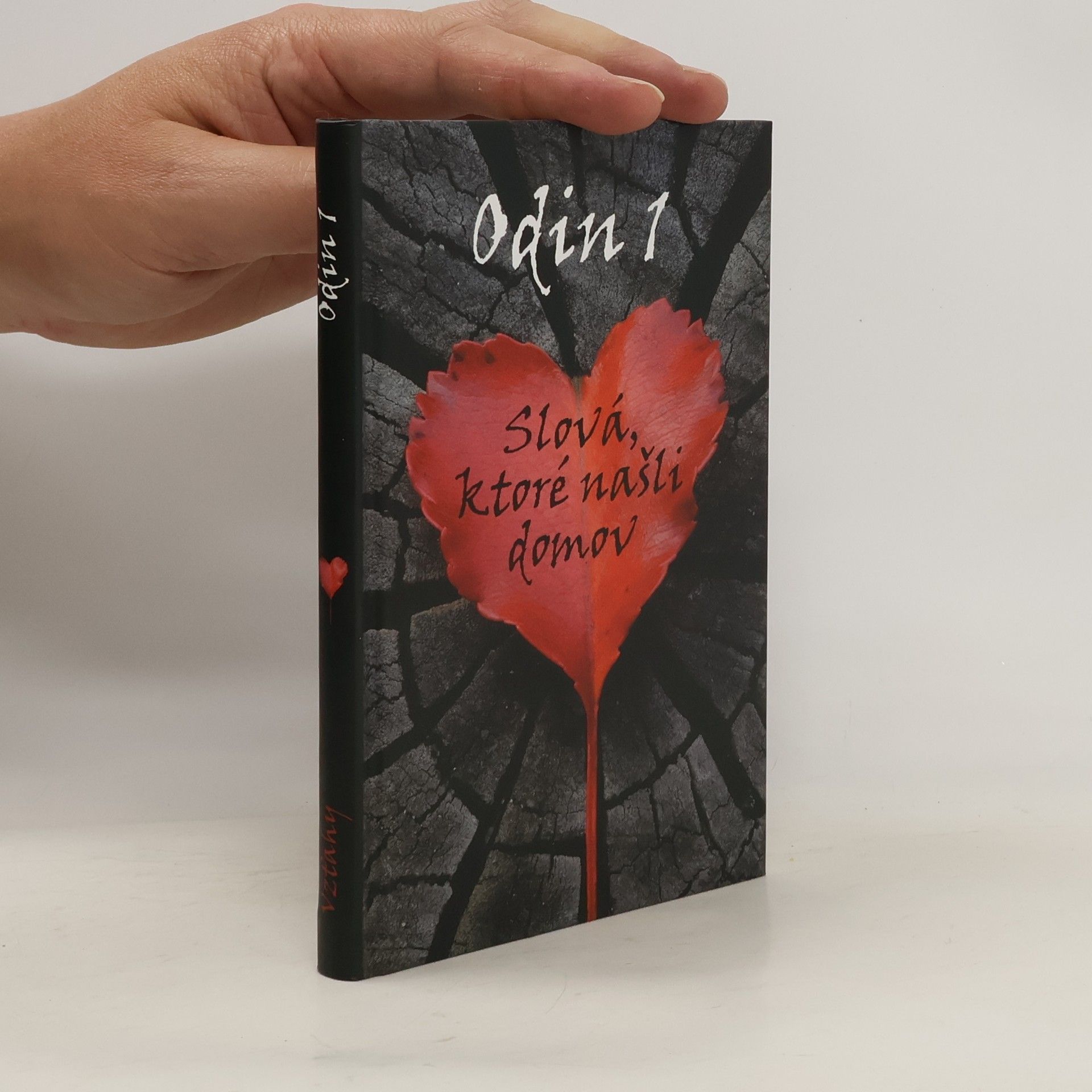 Kolektiv autorů Slová, ktoré našli domov