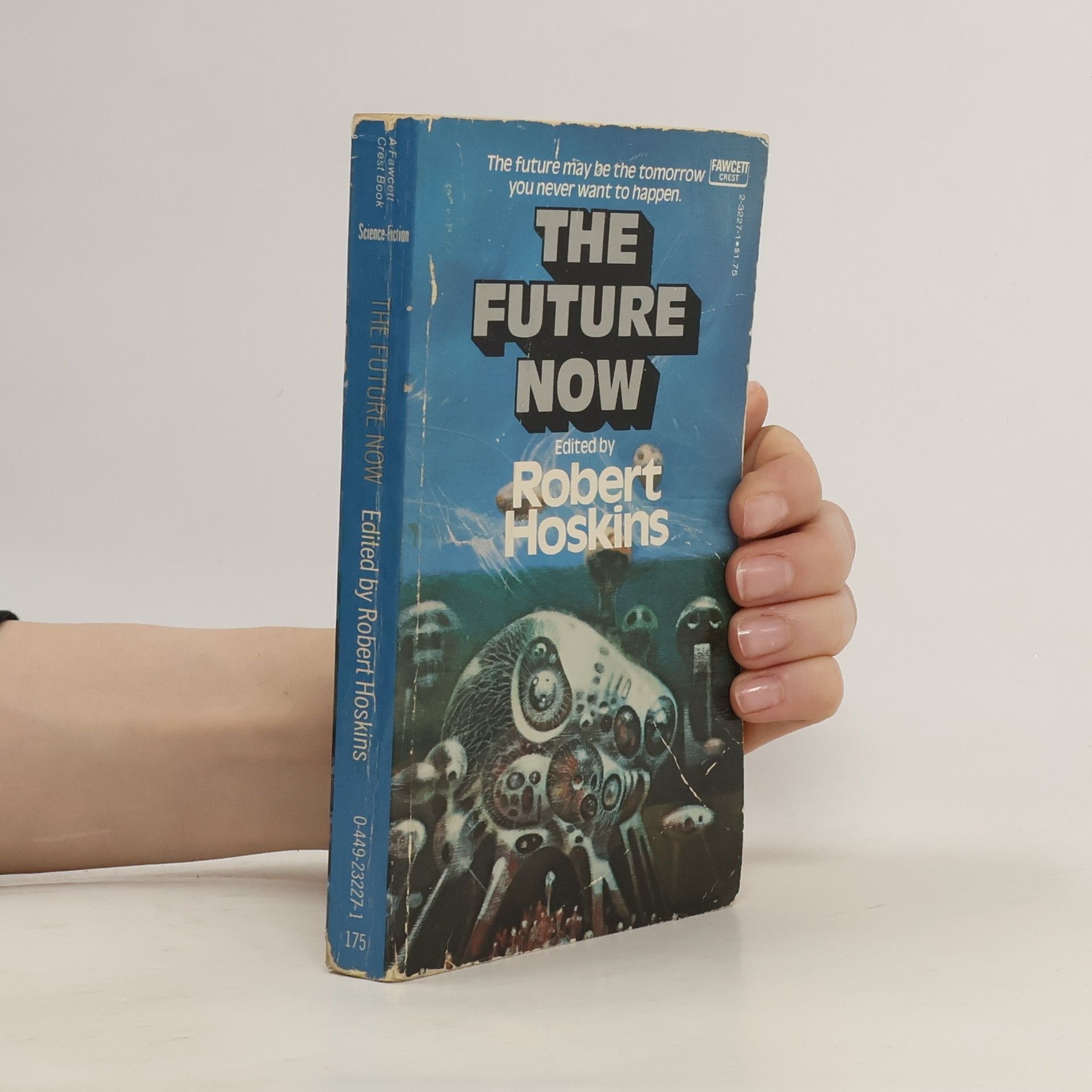 Robert Hoskins The Future Now