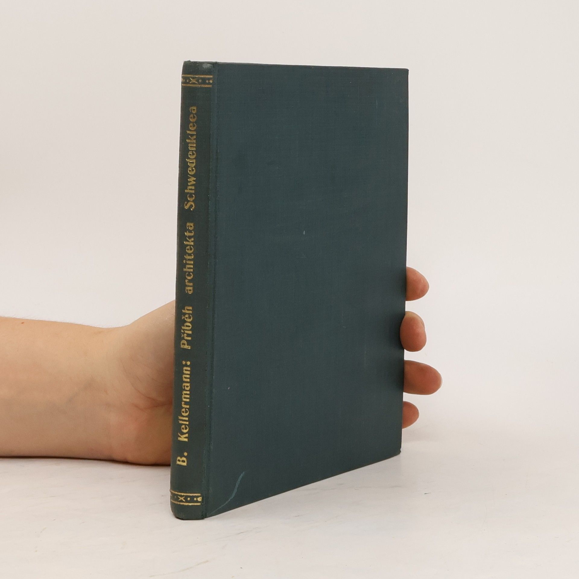 Příběh architekta Schwedenkleea