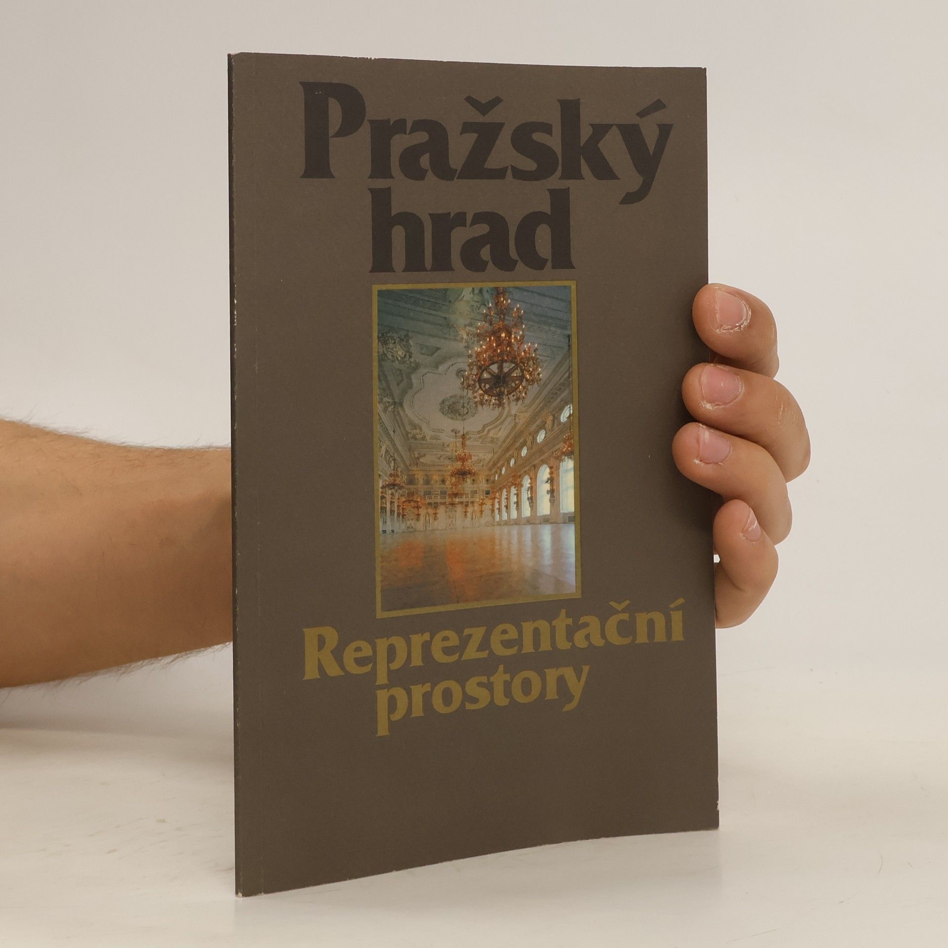 František Kadlec Pražský hrad: Reprezentační prostory