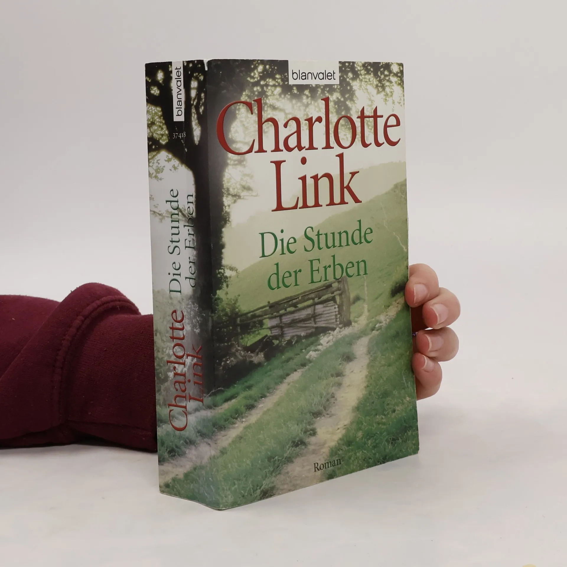 Die Stunde der Erben | Buch | Paperback | Charlotte Link