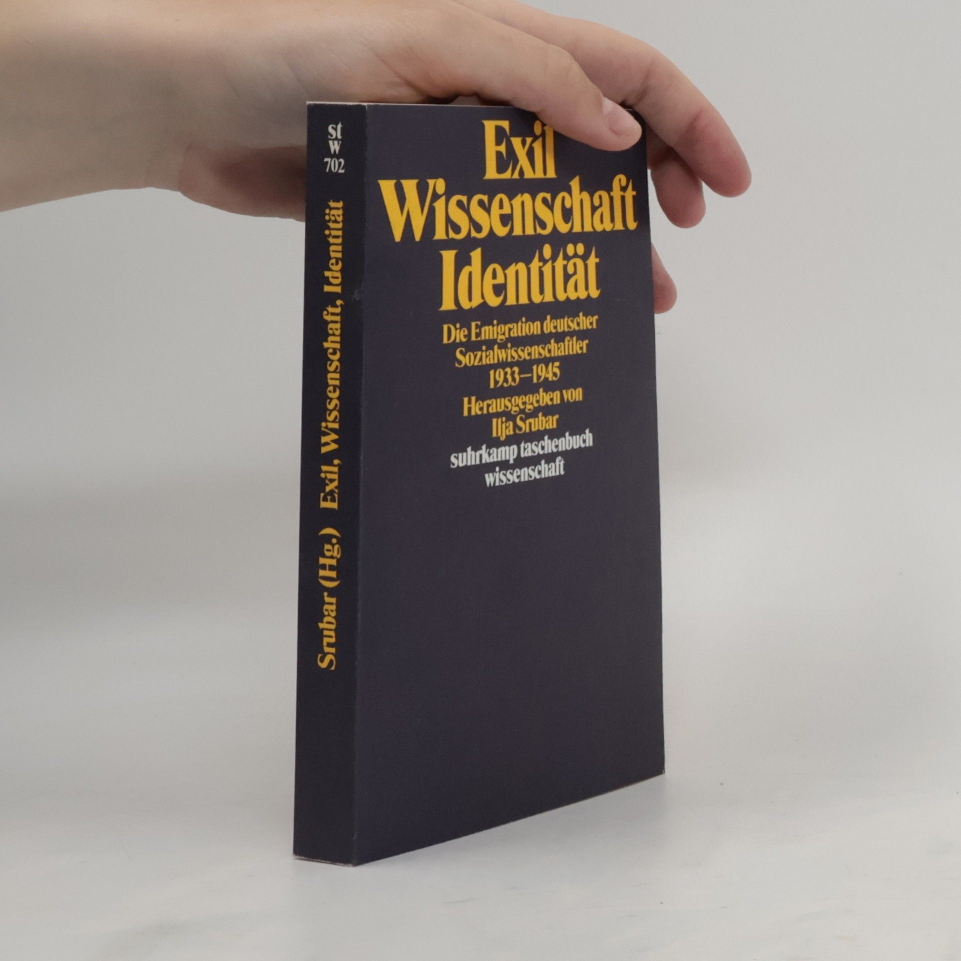 Ilja Srubar Exil, Wissenschaft, Identität