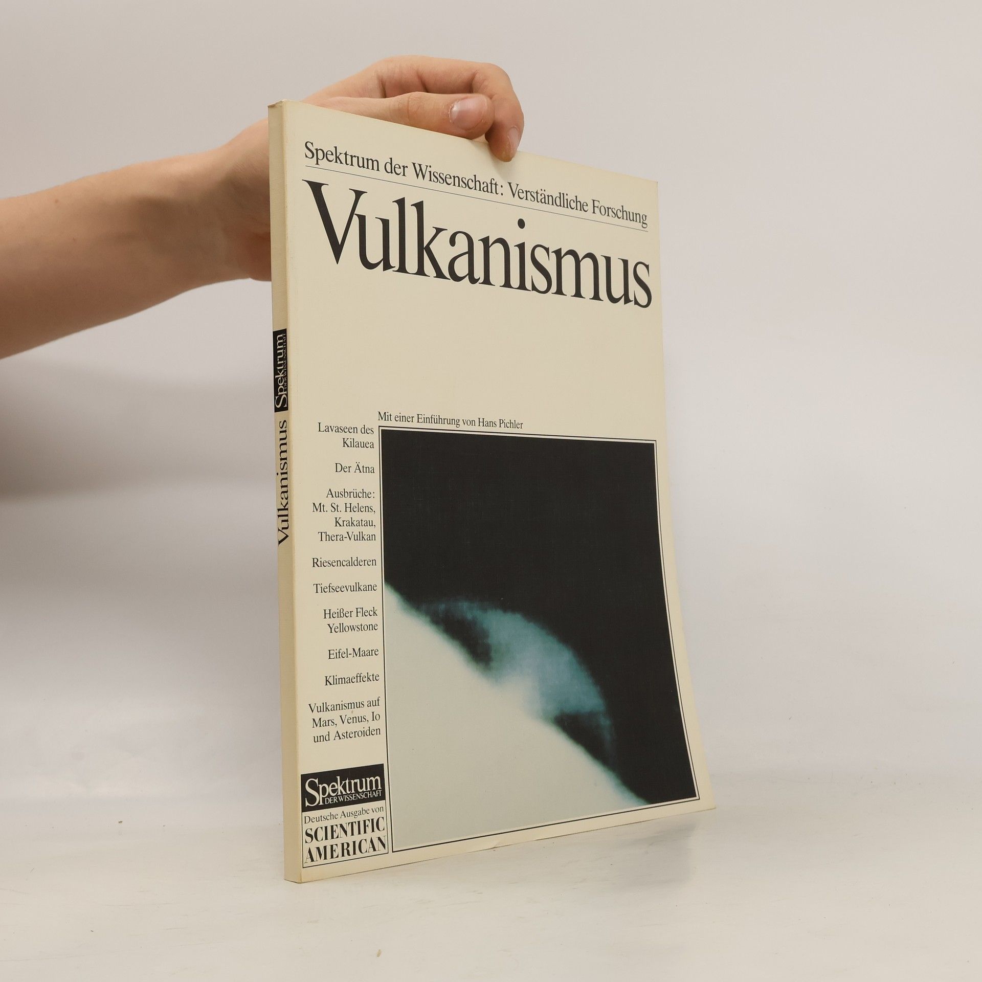 Hans Pichler Vulkanismus