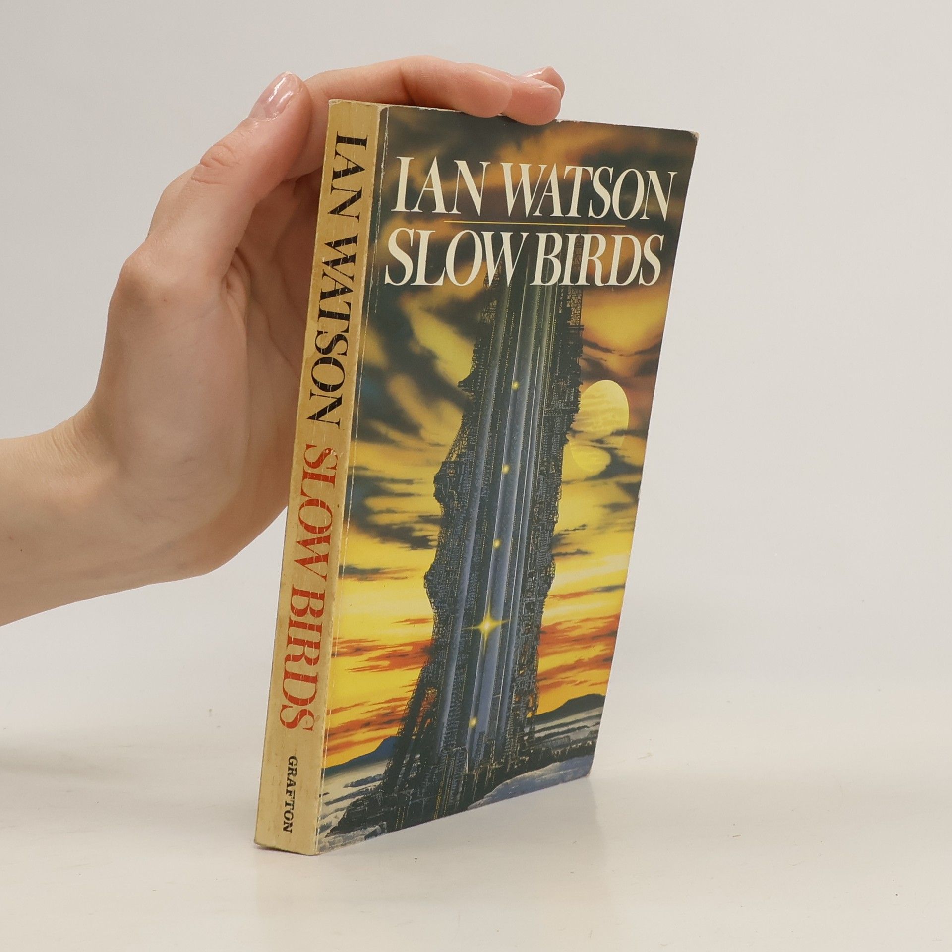 Ian Watson Slow Birds