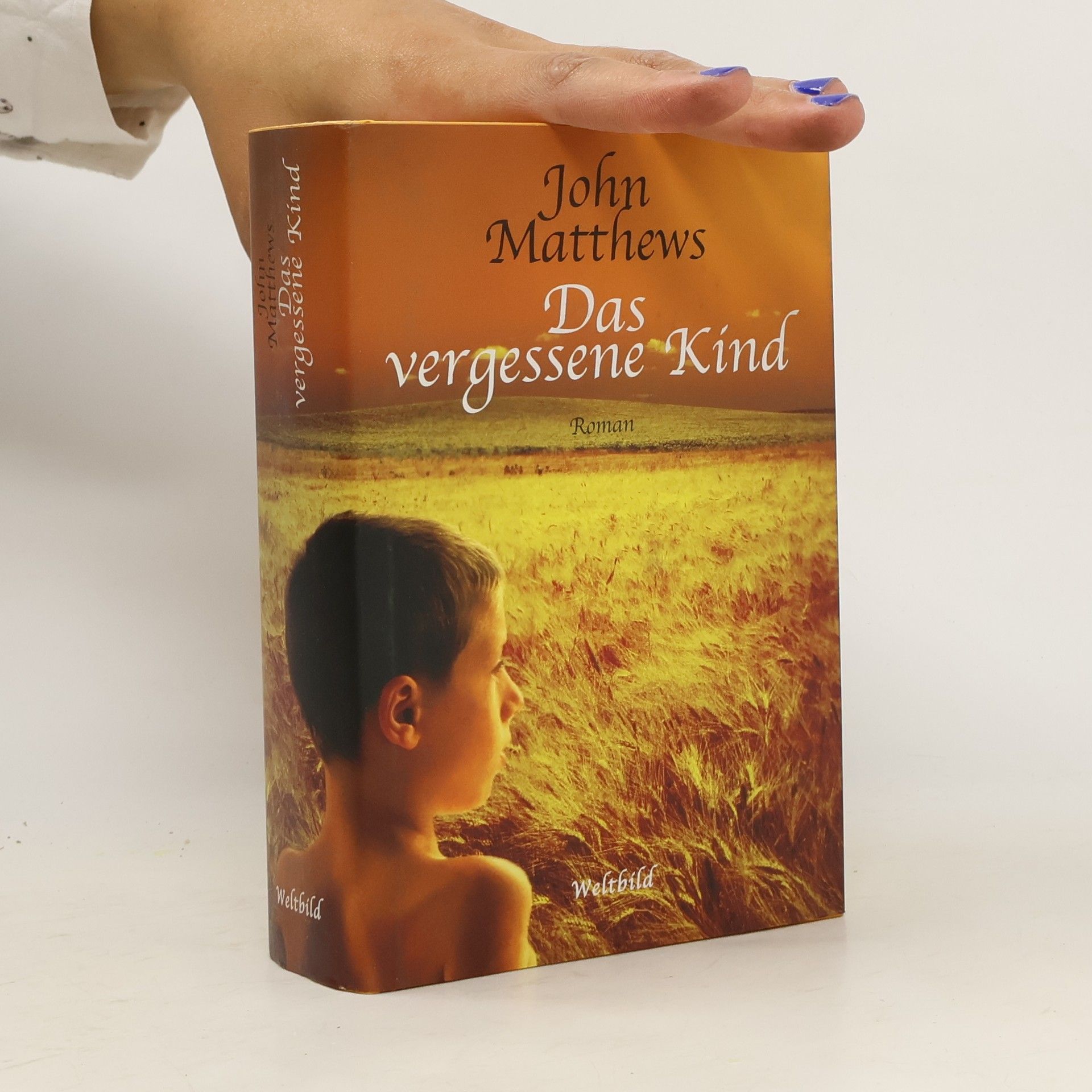 John Matthews Das vergessene Kind