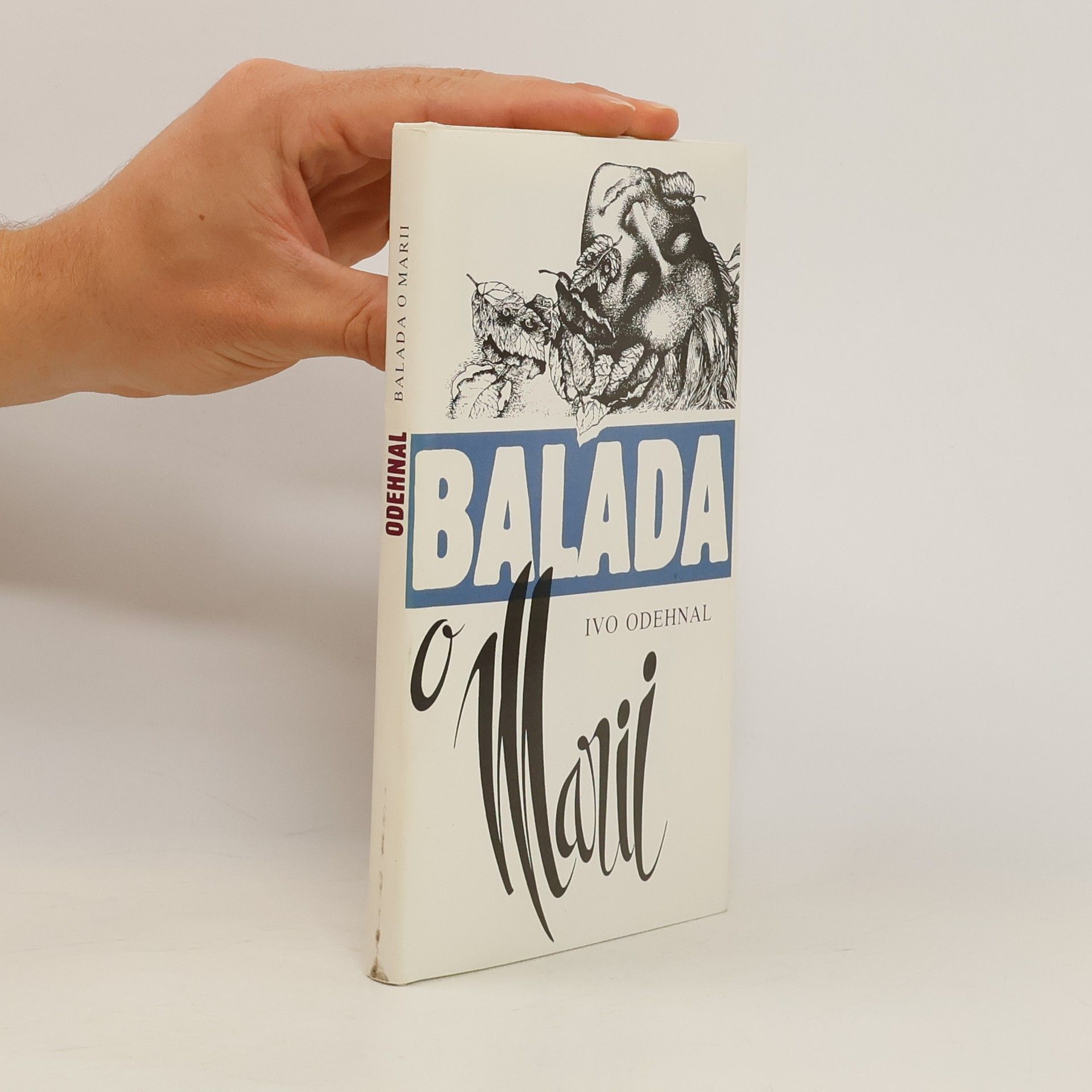 Ivo Odehnal Balada o Marii
