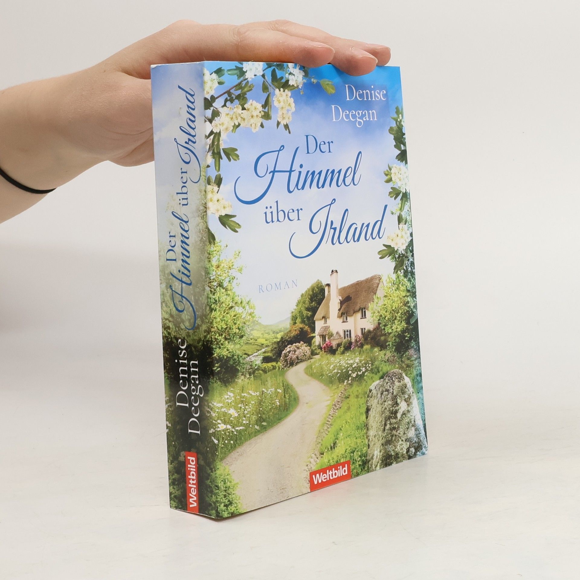 Denise Deegan Der Himmel über Irland