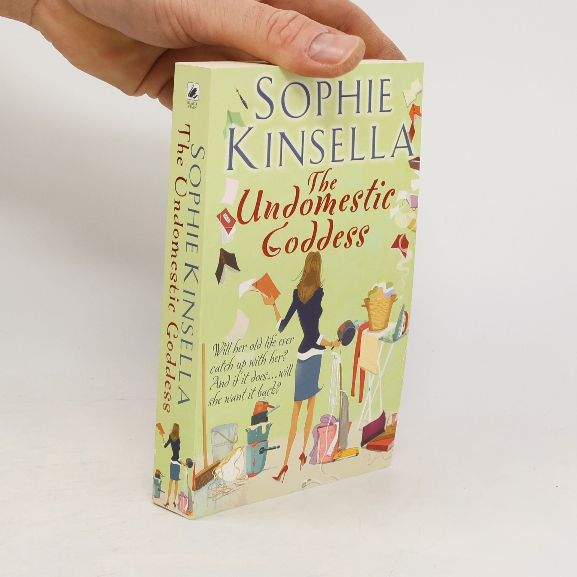 Sophie Kinsella The undomestic goddess