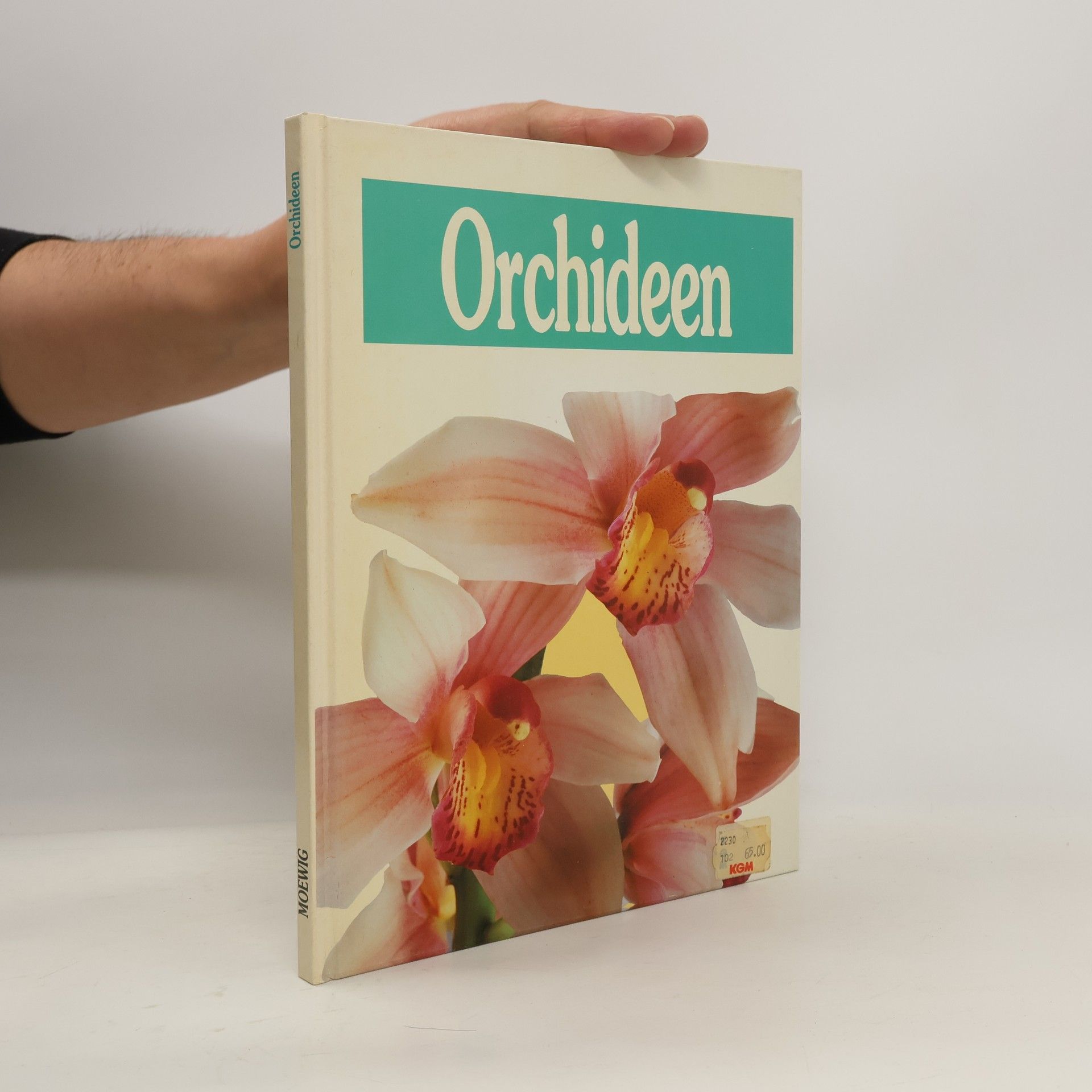 Esther Dorn Orchideen