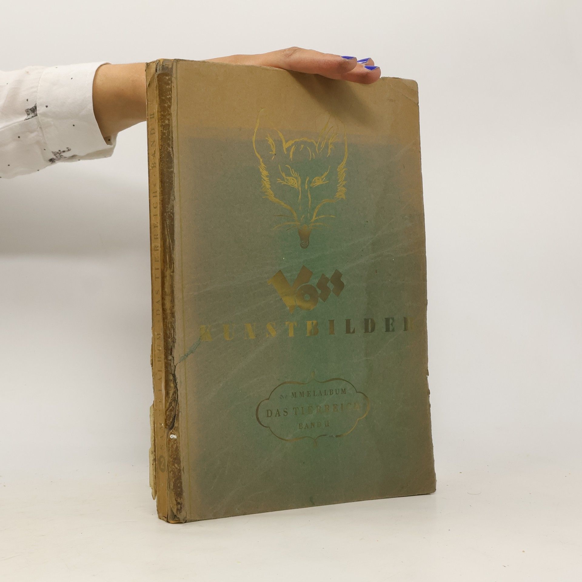 Autores varios Sammelalbum für Voss-Kunstbilder. Das Tierreich. Band II.