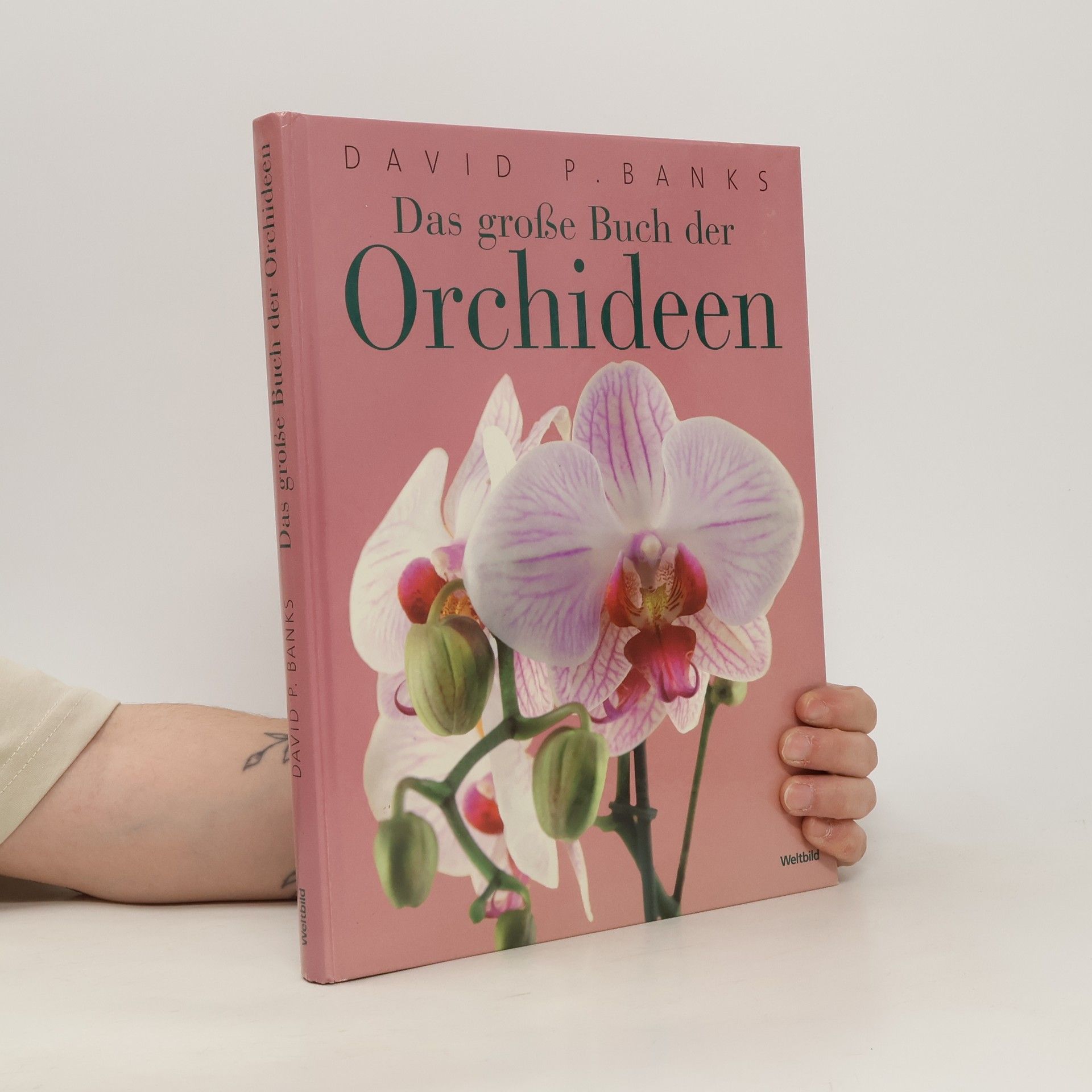 David Banks Das große Buch der Orchideen