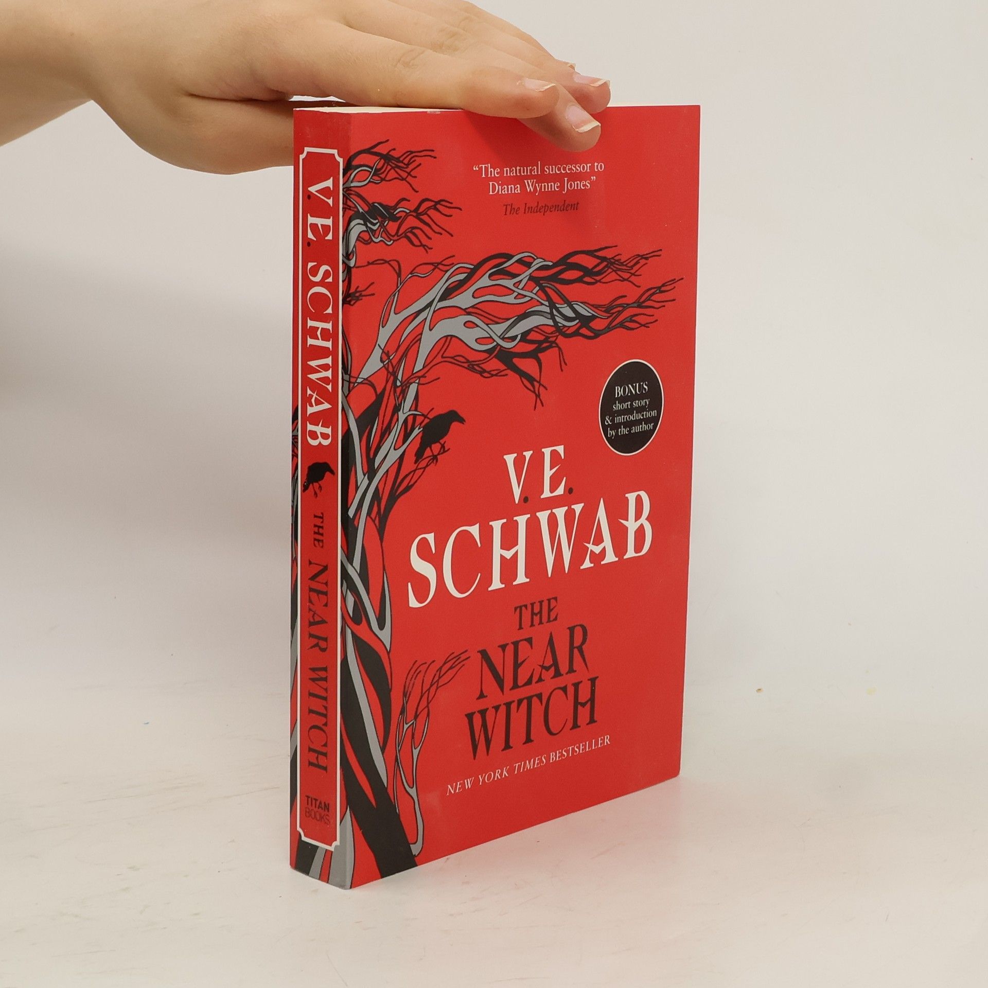 V. E. Schwab The Near Witch