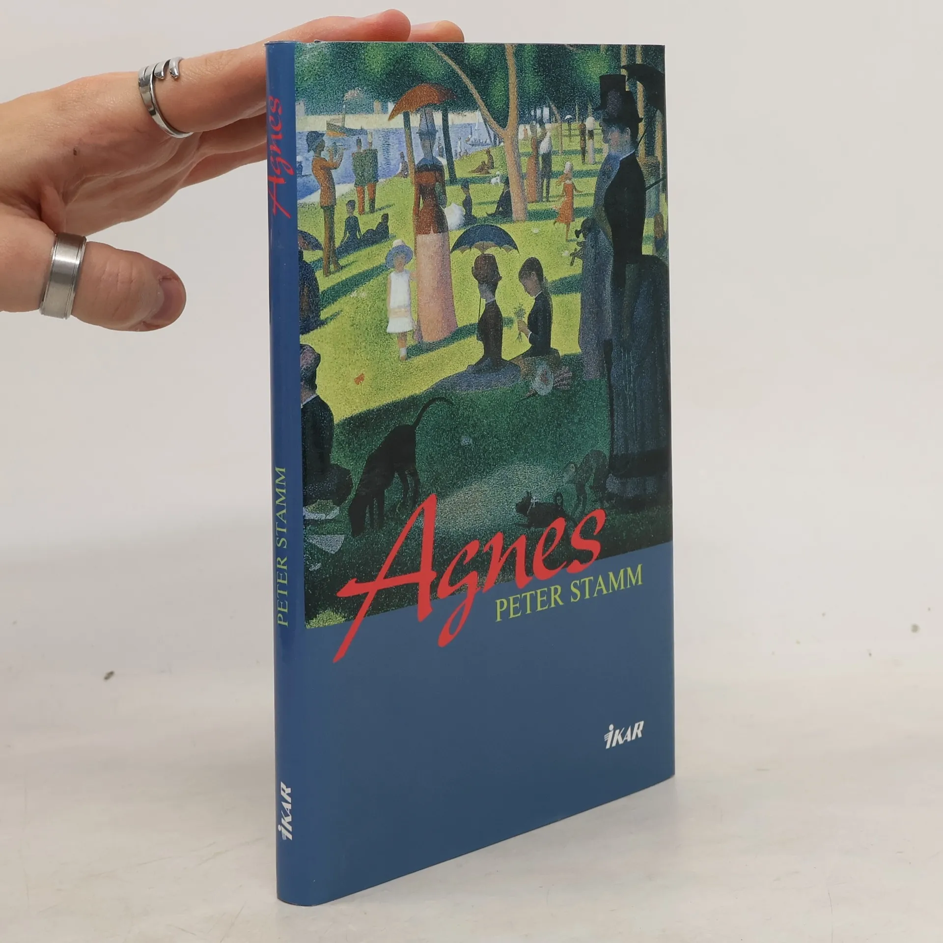 Agnes | Book | Hardcover | Peter Stamm | SK