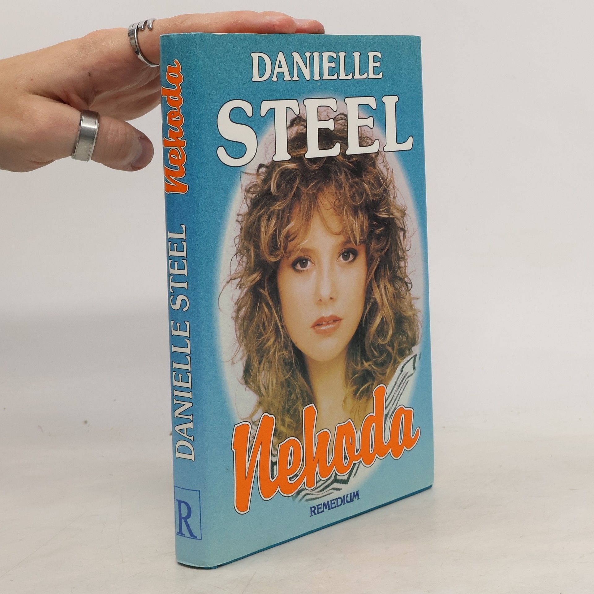 Danielle Steel Nehoda