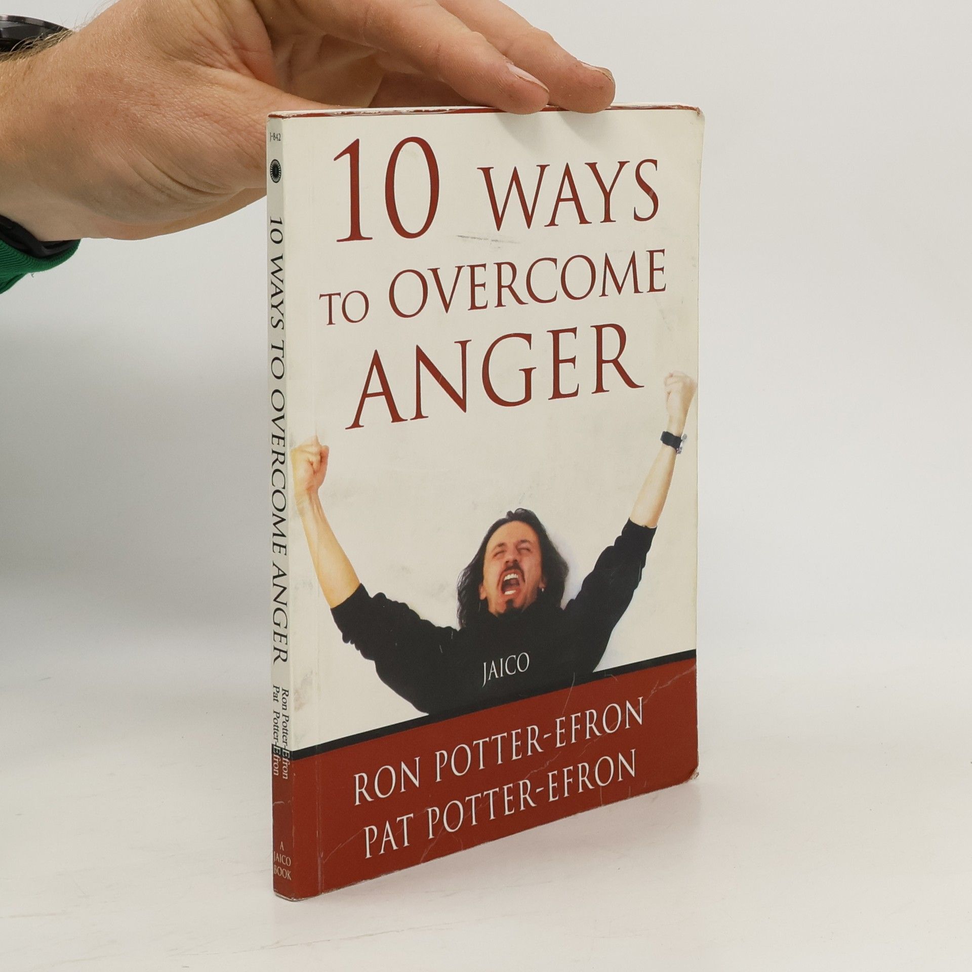 Patricia S. Potter-Efron 10 Ways To Overcome Anger