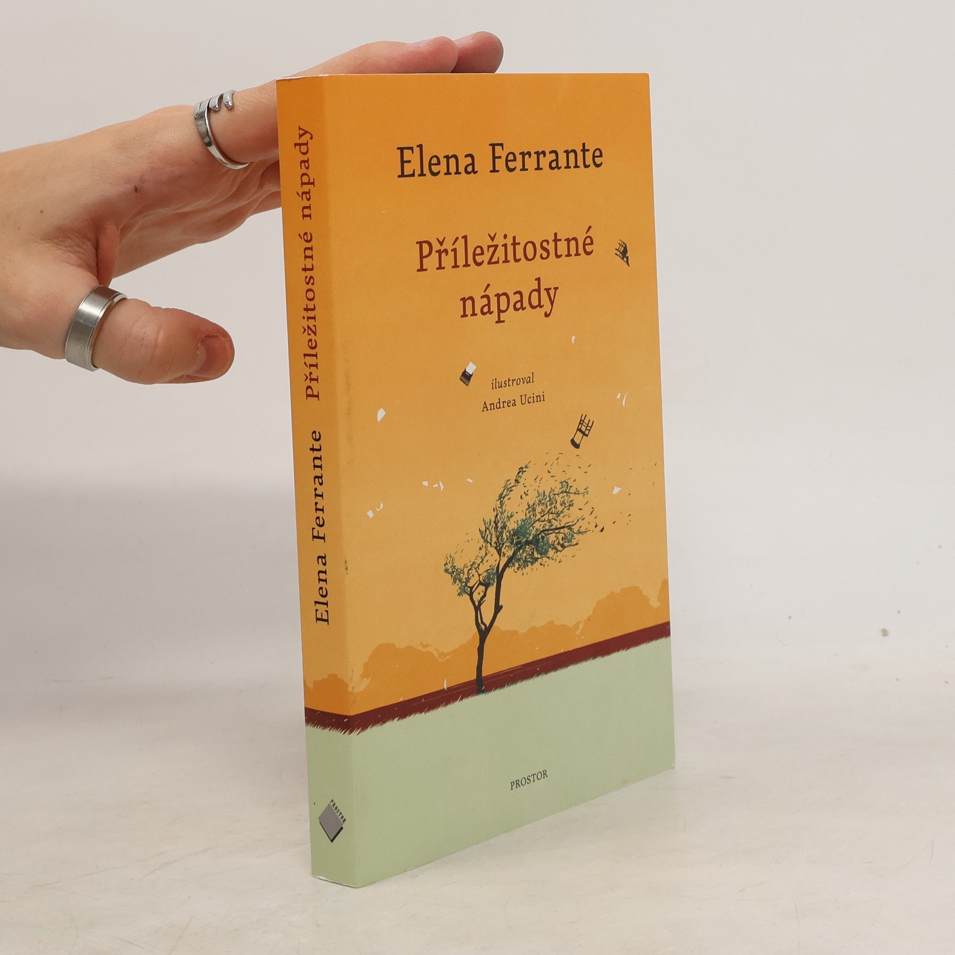 Elena Ferrante Příležitostné nápady