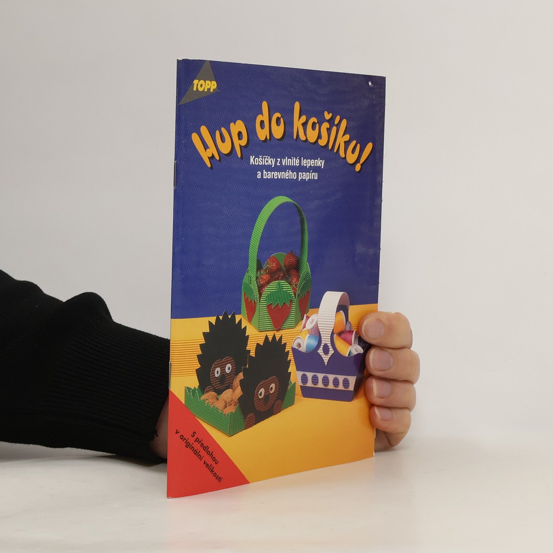 Julia Täubner Hup do košíku! : košíčky z vlnité lepenky a barevného papíru