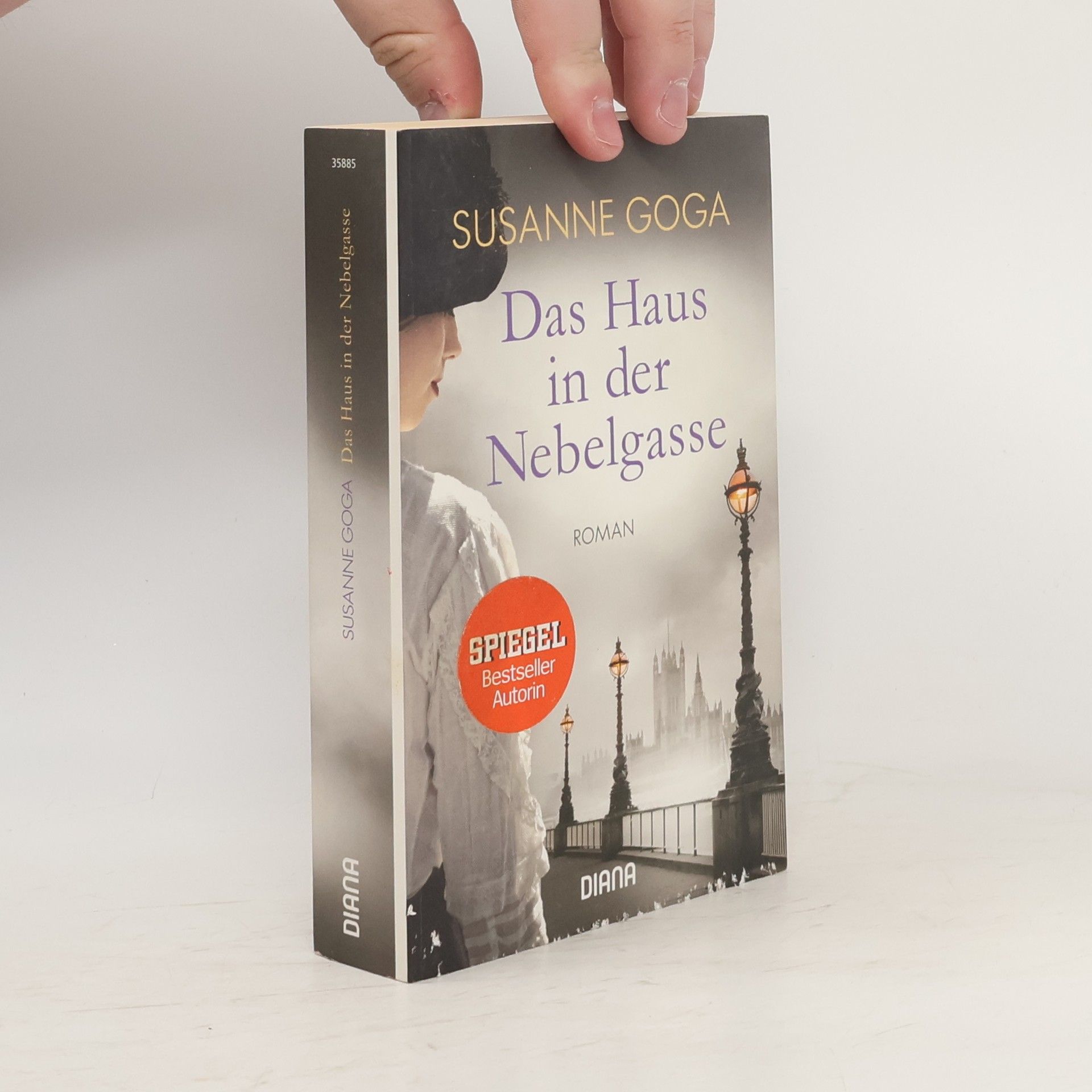 Susanne Goga Das Haus in der Nebelgasse