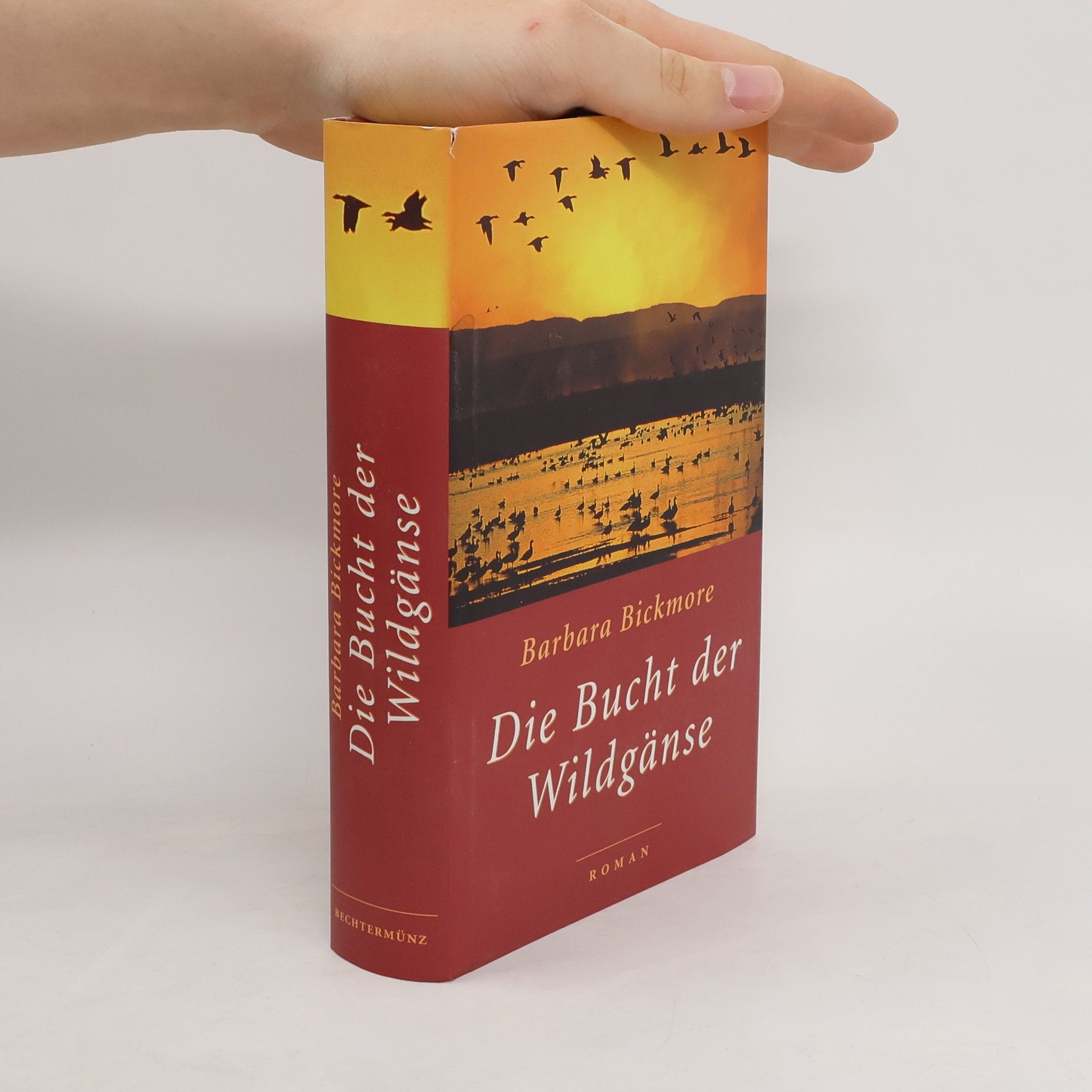 Barbara Bickmore Die Bucht der Wildgänse