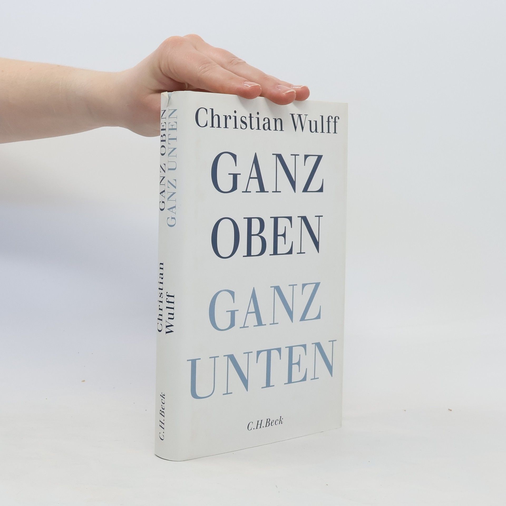 Christian Wulff Ganz oben Ganz unten
