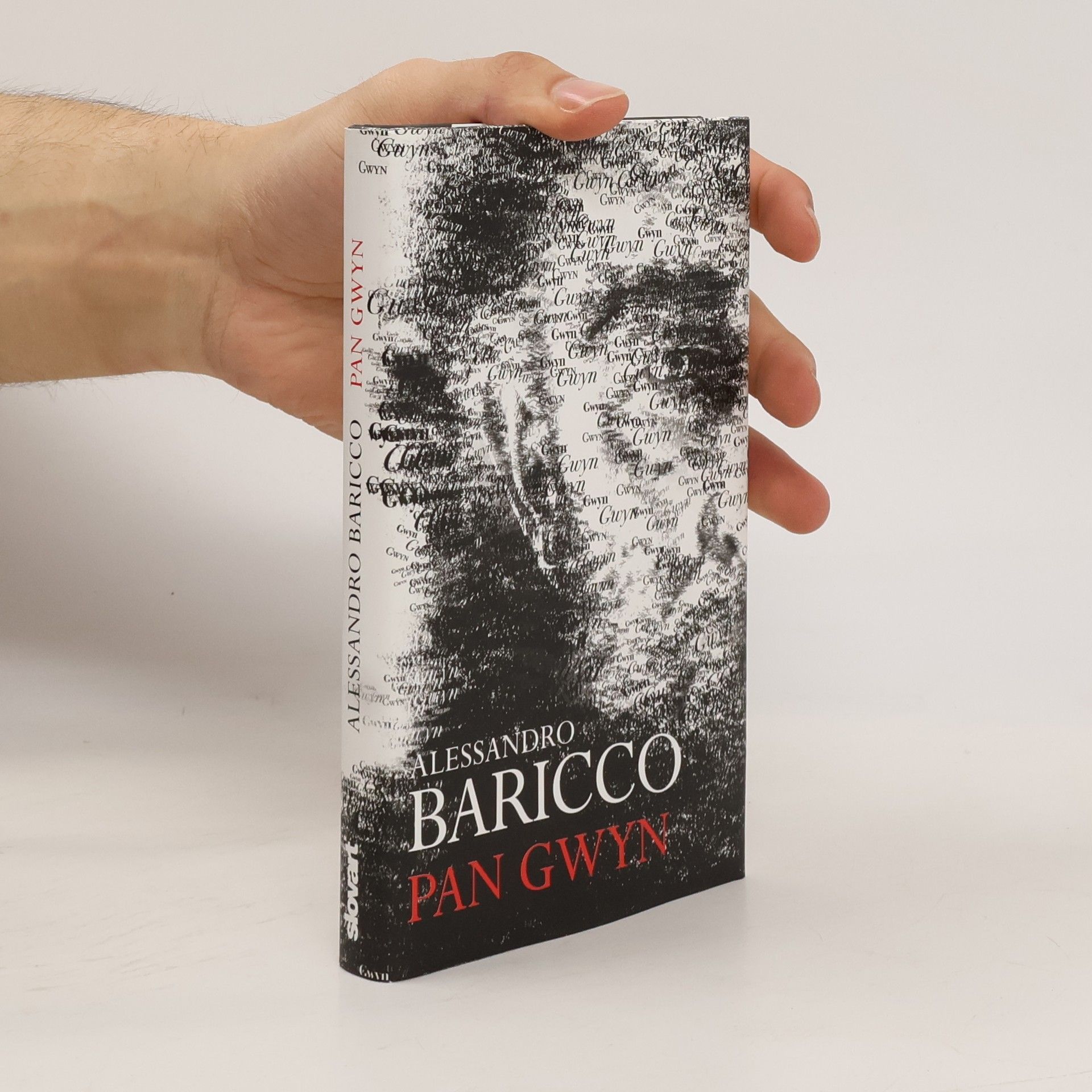 Alessandro Baricco Pan Gwyn