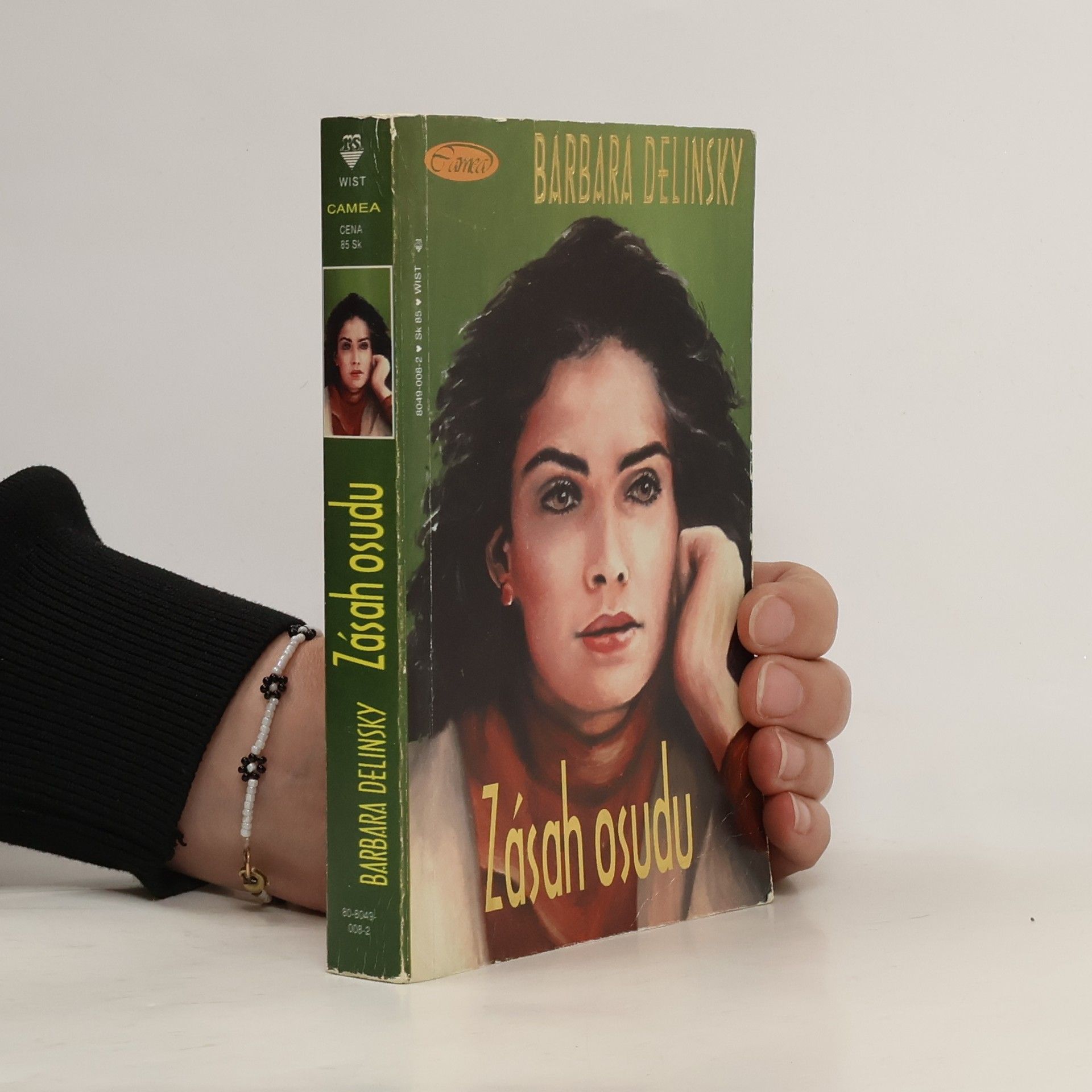 Barbara Delinsky Zásah osudu