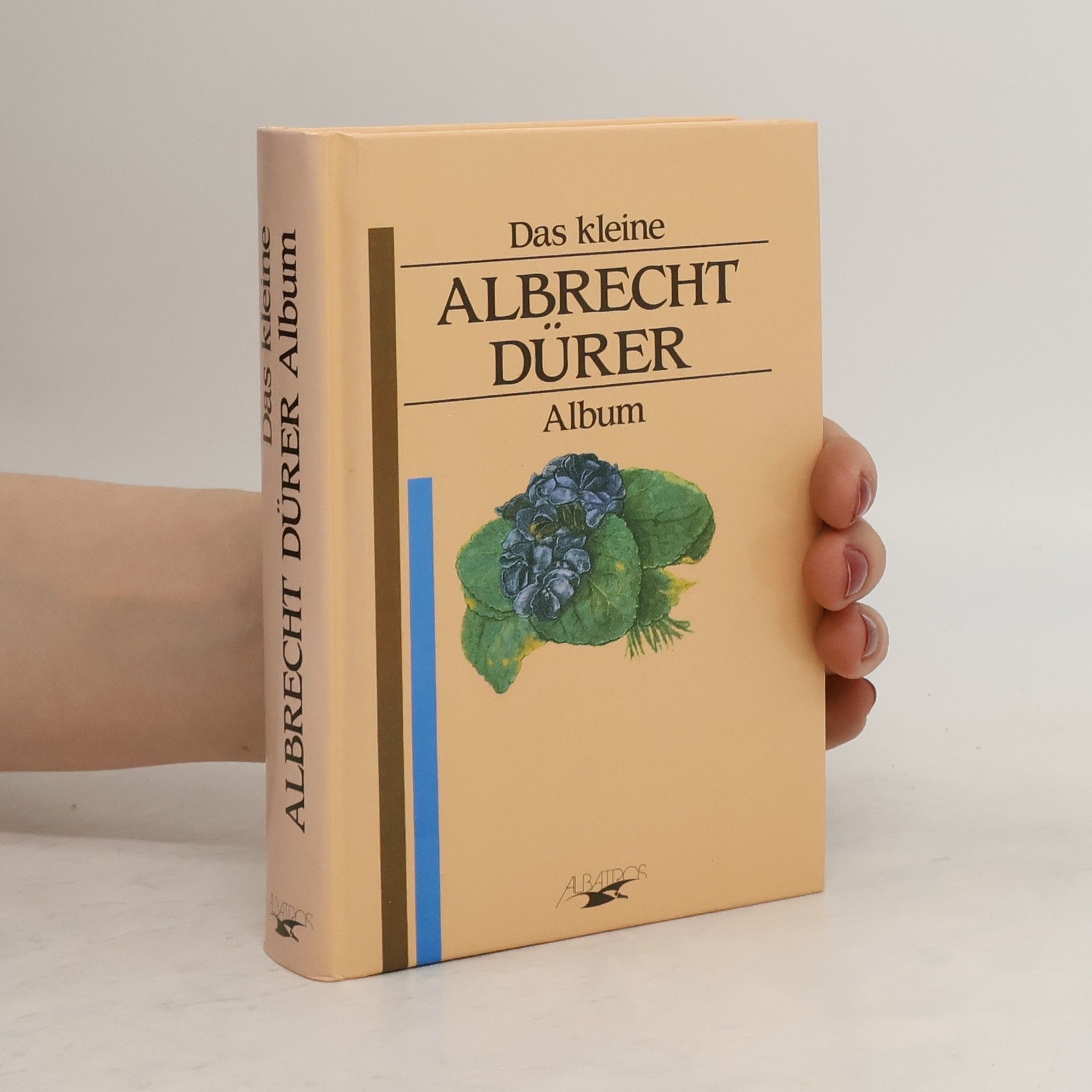 Albrecht Dürer Das kleine Albrecht-Dürer-Album