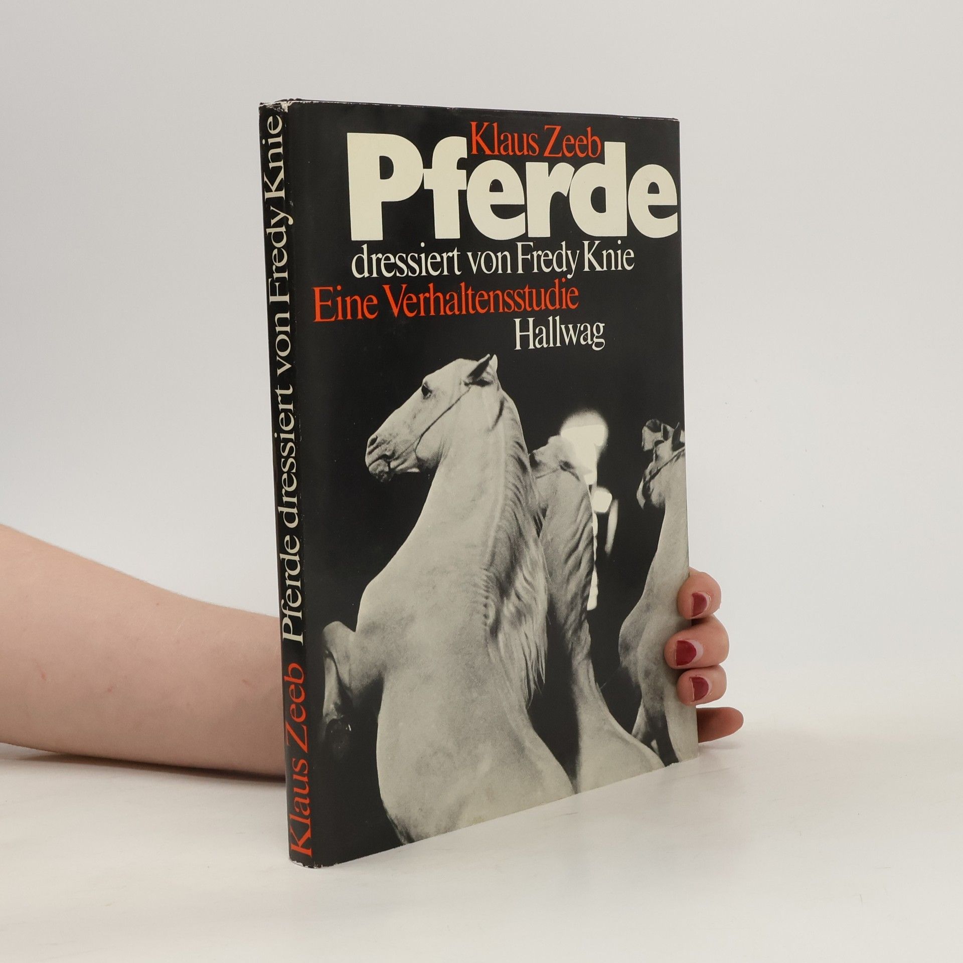 Klaus Zeeb Pferde