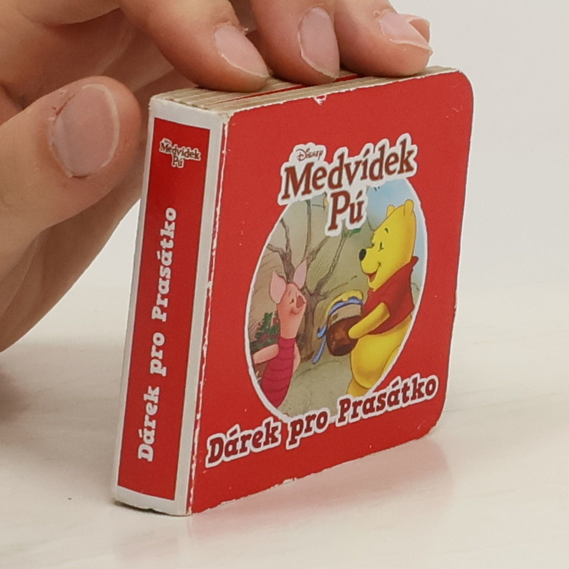kolektiv Medvídek PÚ. Dárek pro Prasátko