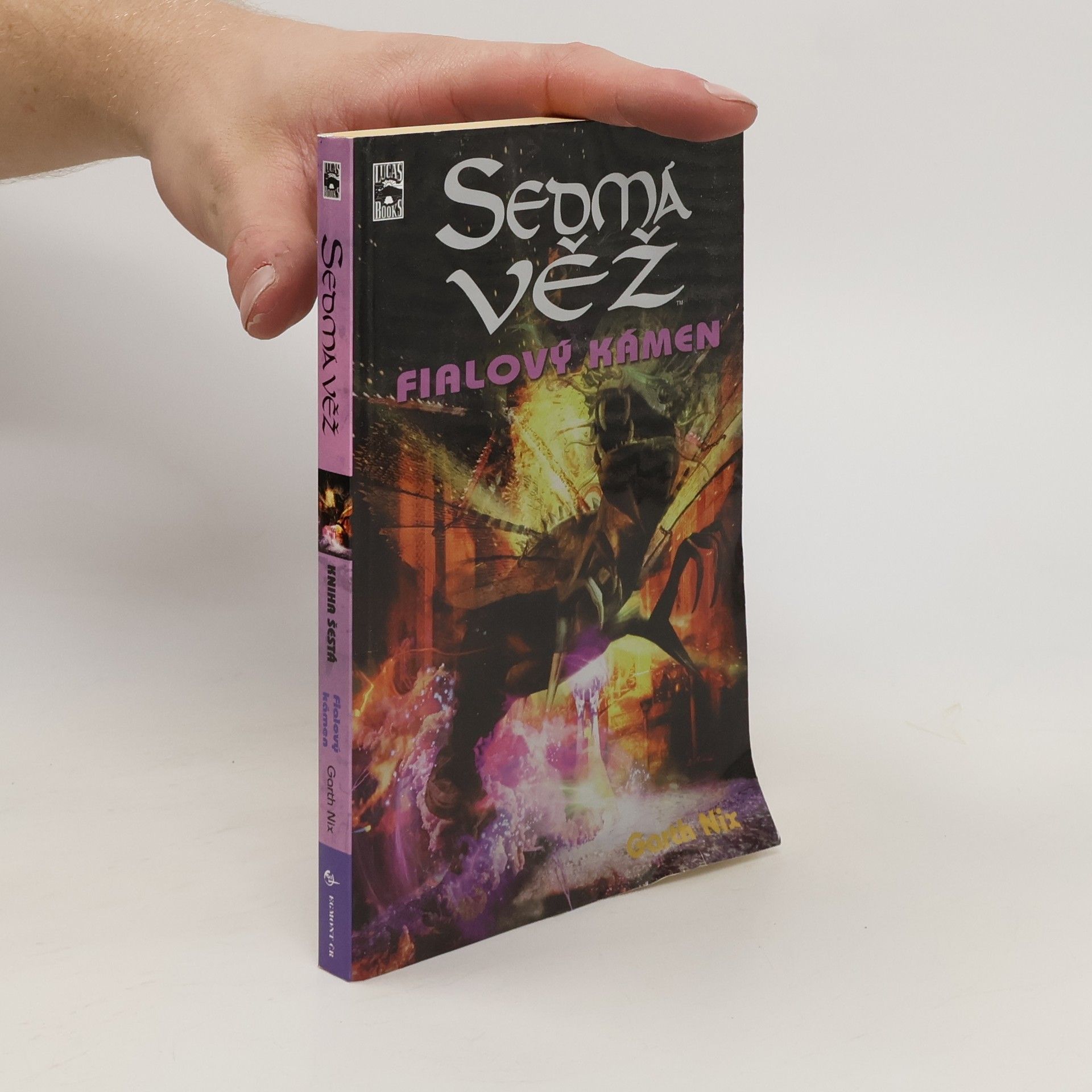 Garth Nix Fialový kámen