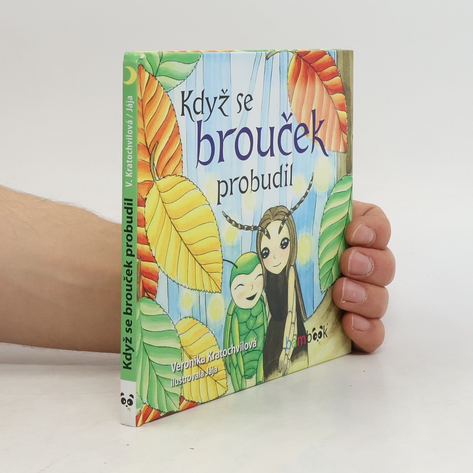 Veronika Kratochvílová Když se brouček probudil