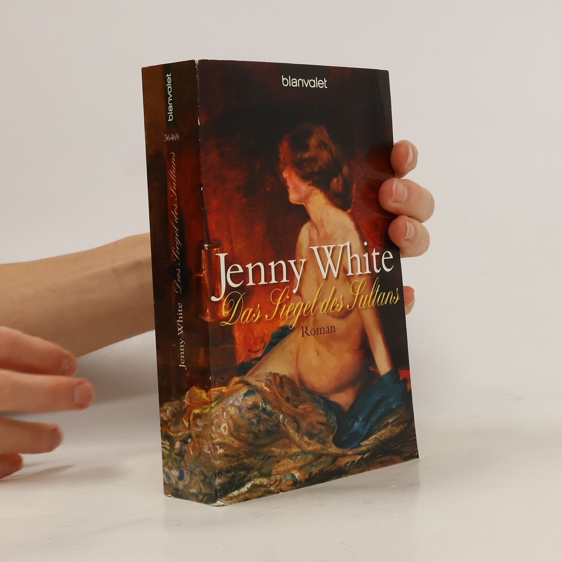 Jenny B. White Das Siegel des Sultans