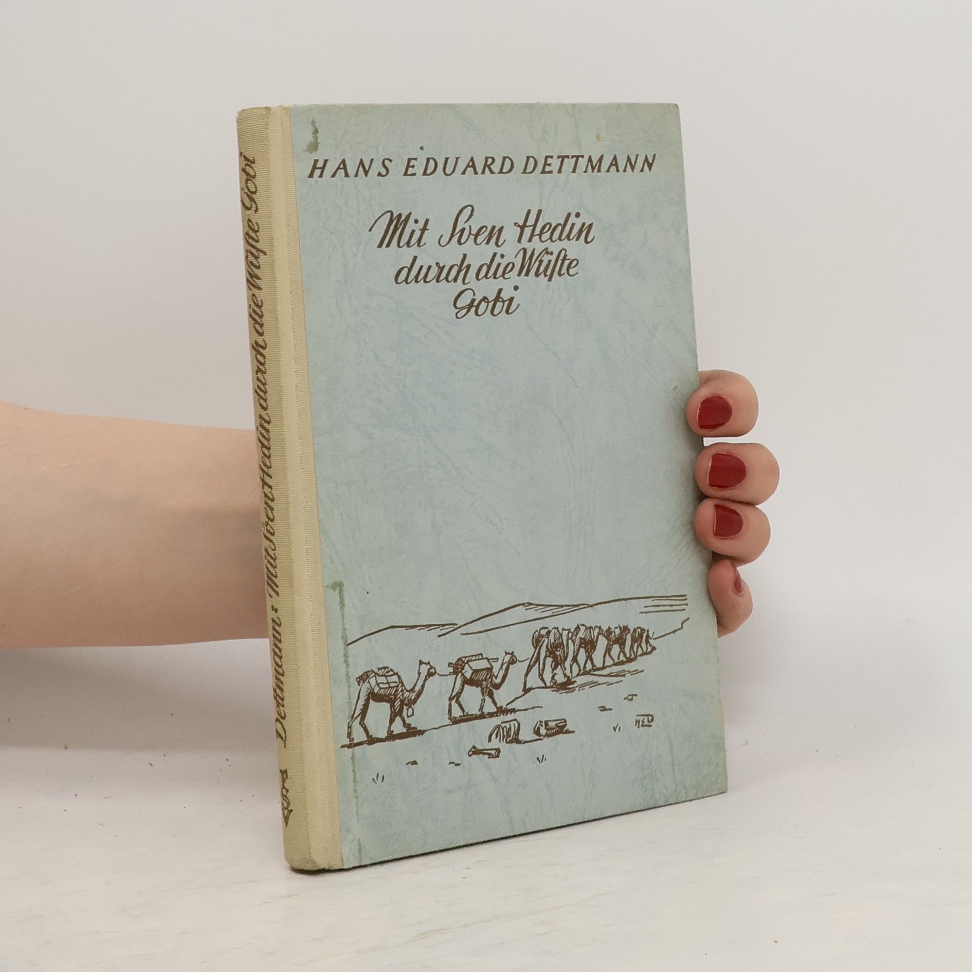 Hans Eduard Dettmann Mit Sven Hedin durch die Wüste Gobi