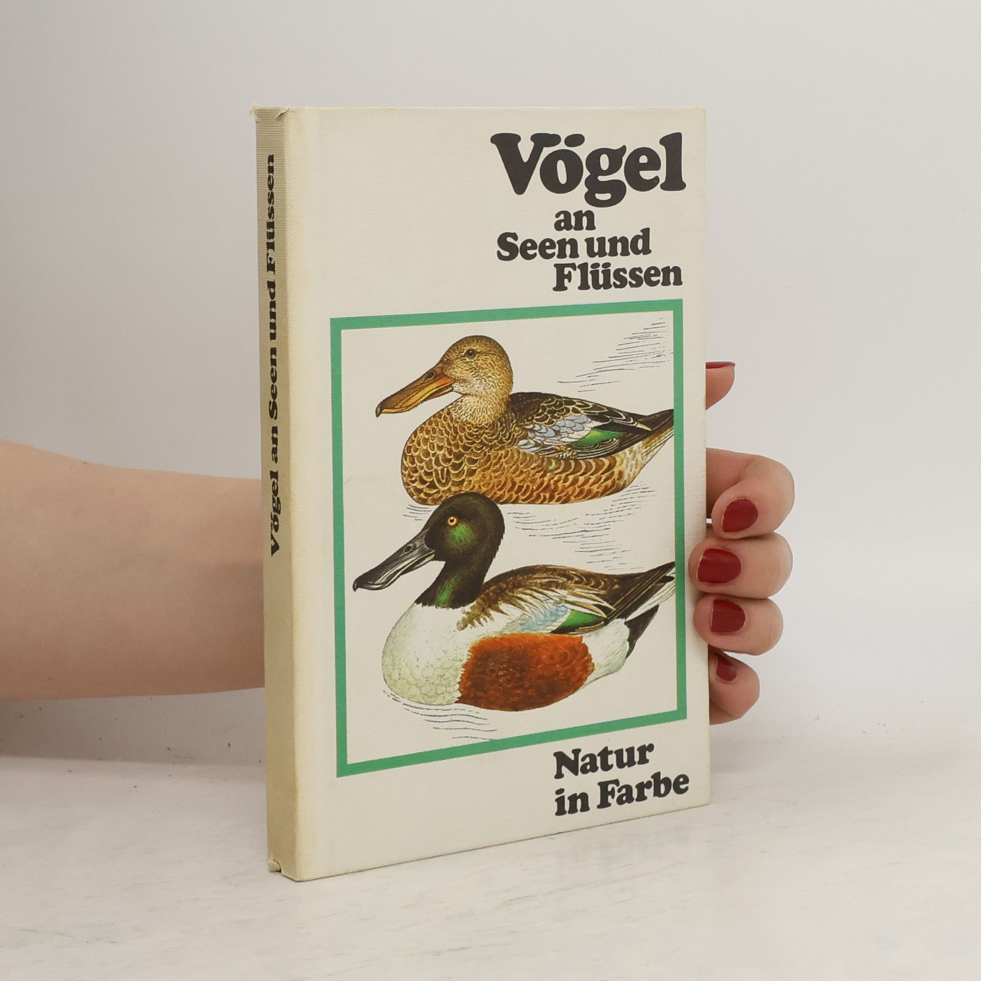 J. Felix Vögel an Seen und Flüssen