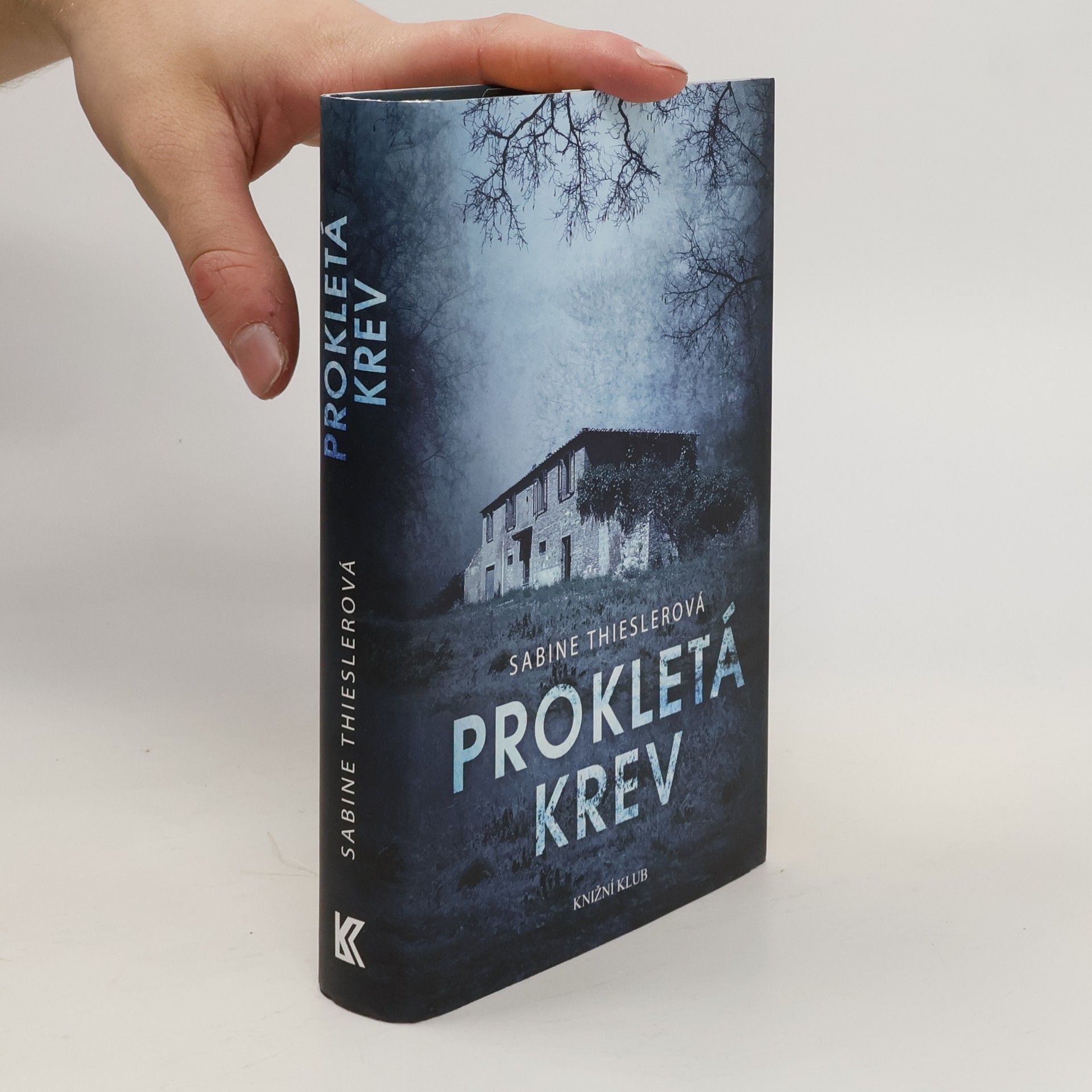 Sabine Thiesler Prokletá krev