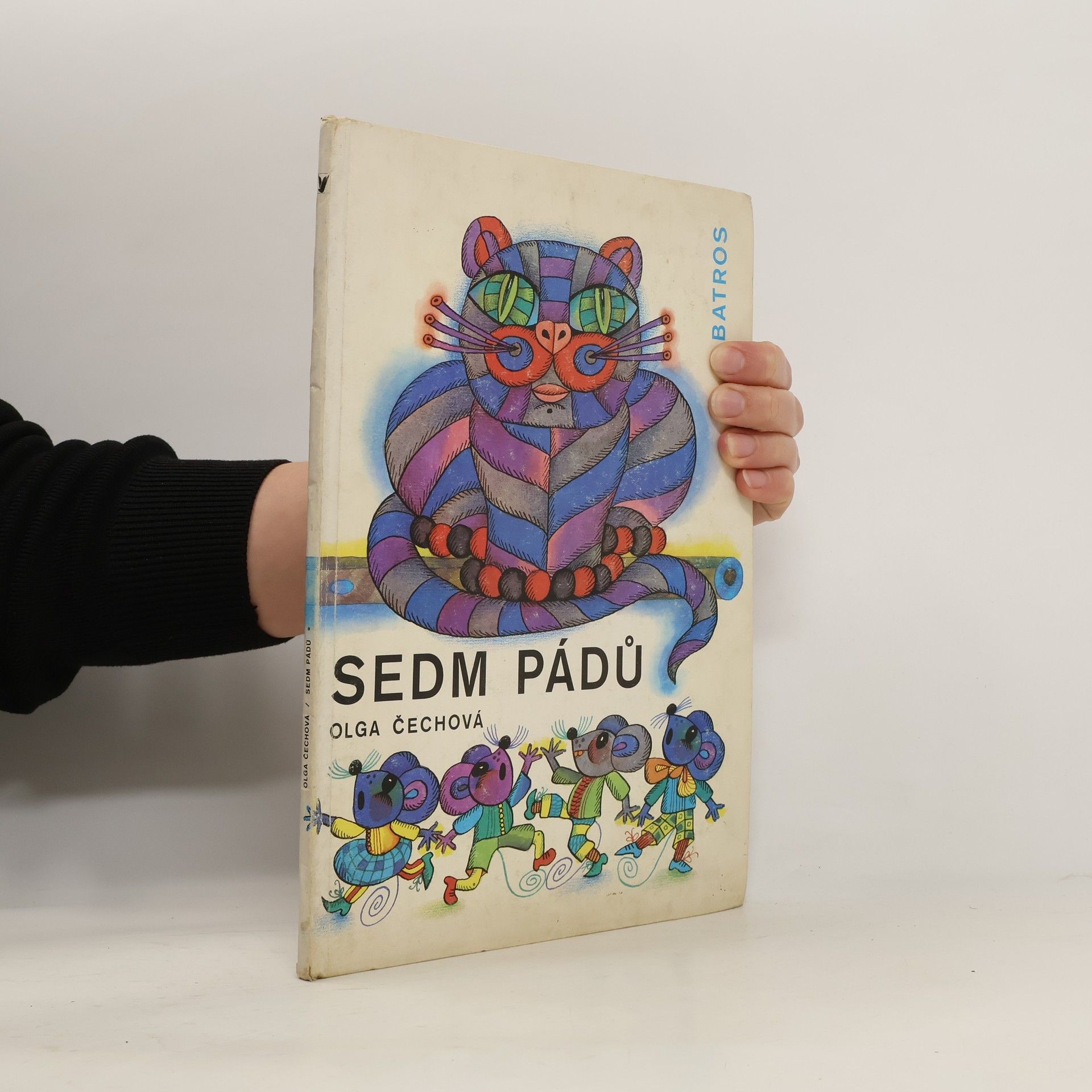 Olga Čechová Sedm pádů