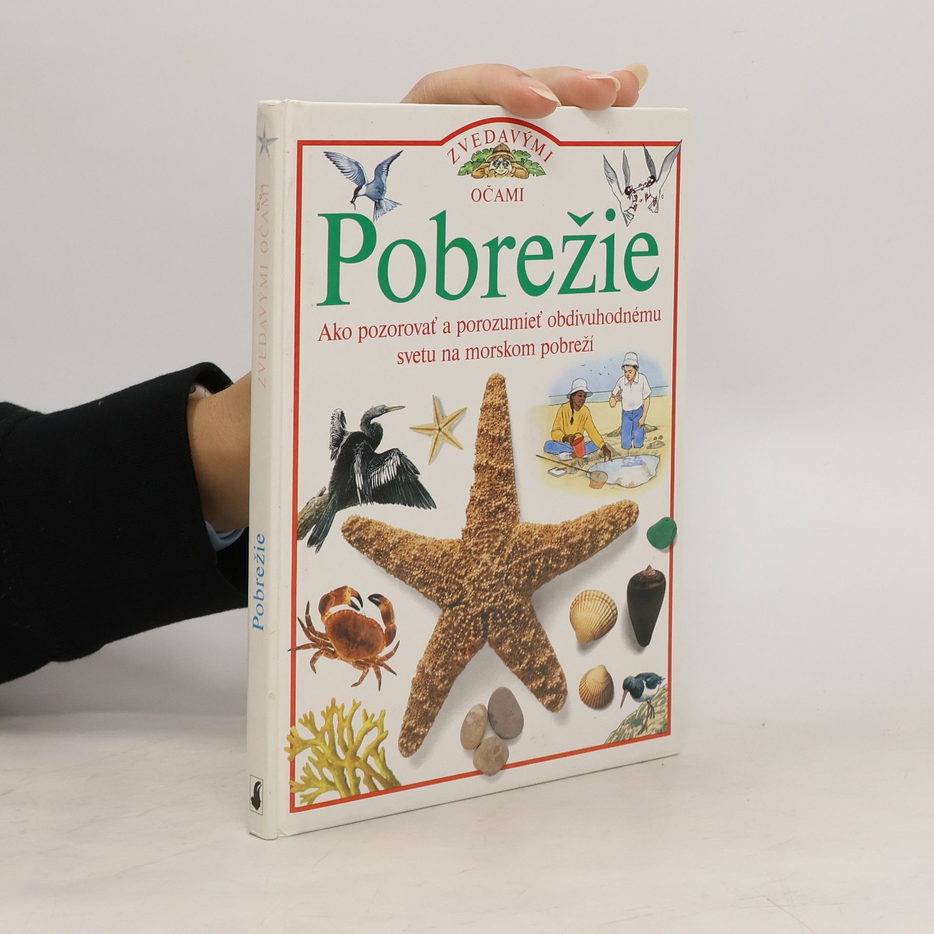 David Burnie Pobrežie