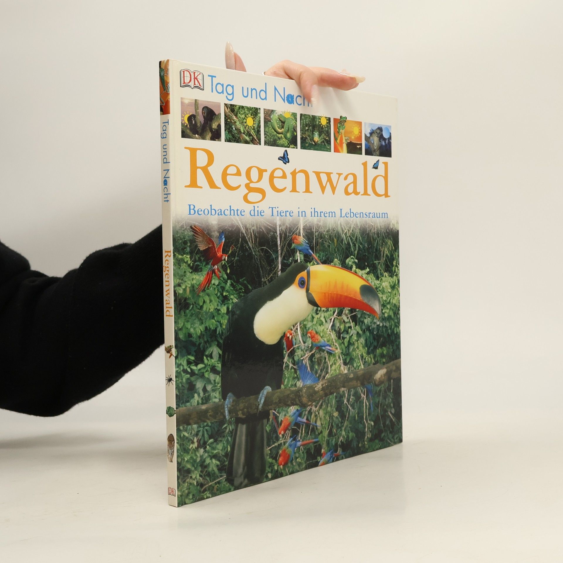 Fleur Star Regenwald