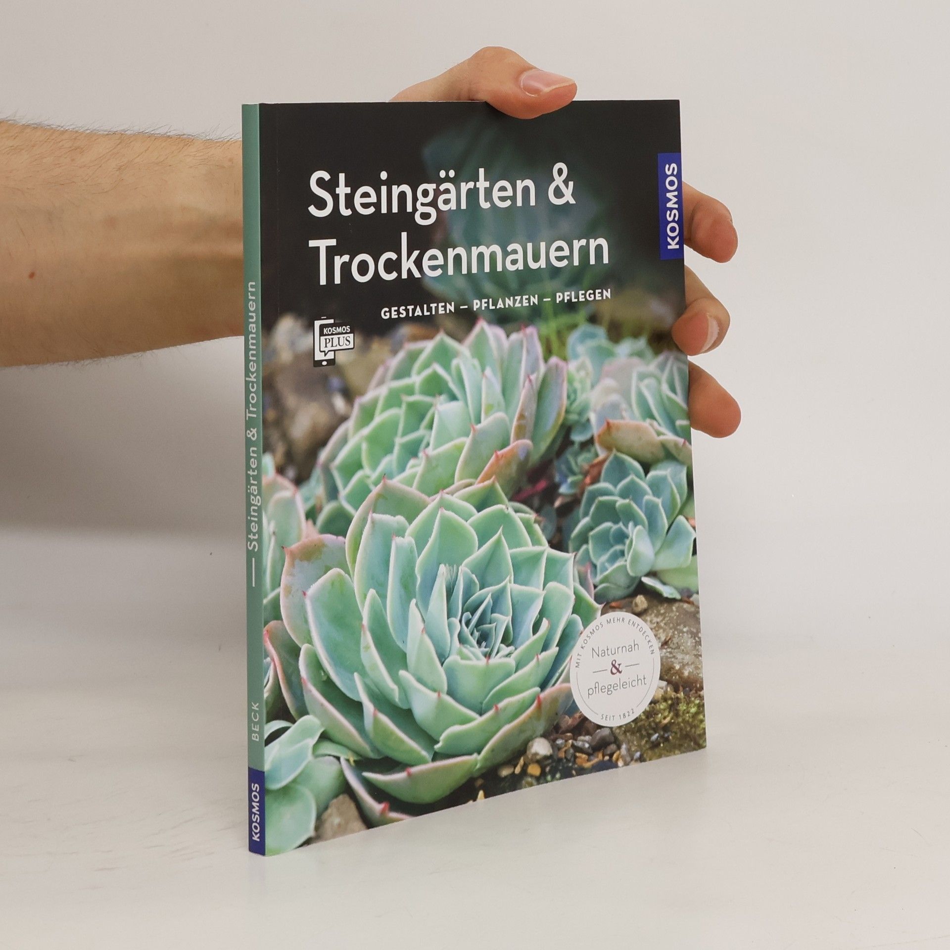 Angela Beck Steingärten & Trockenmauern