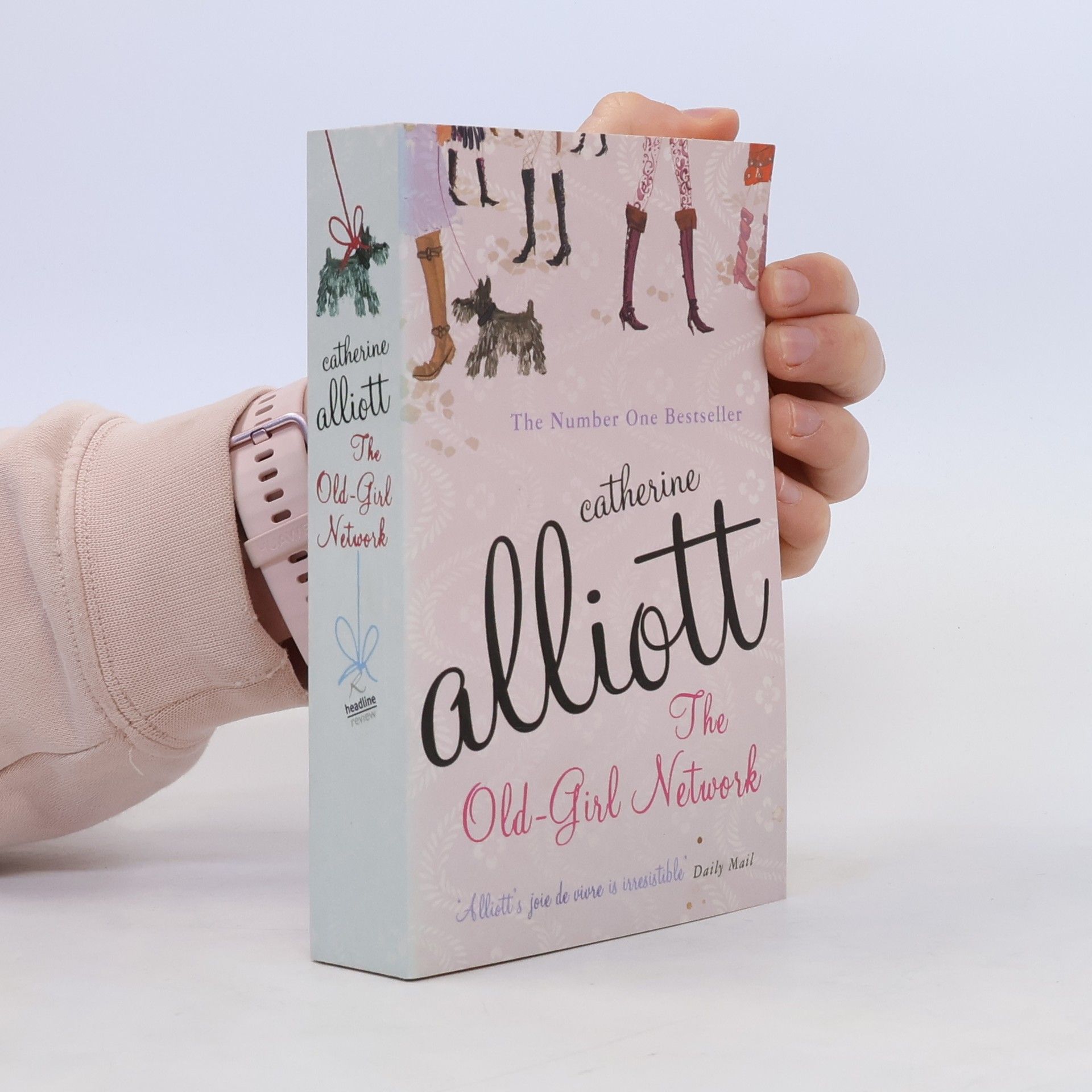 Catherine Alliott The Old-Girl Network