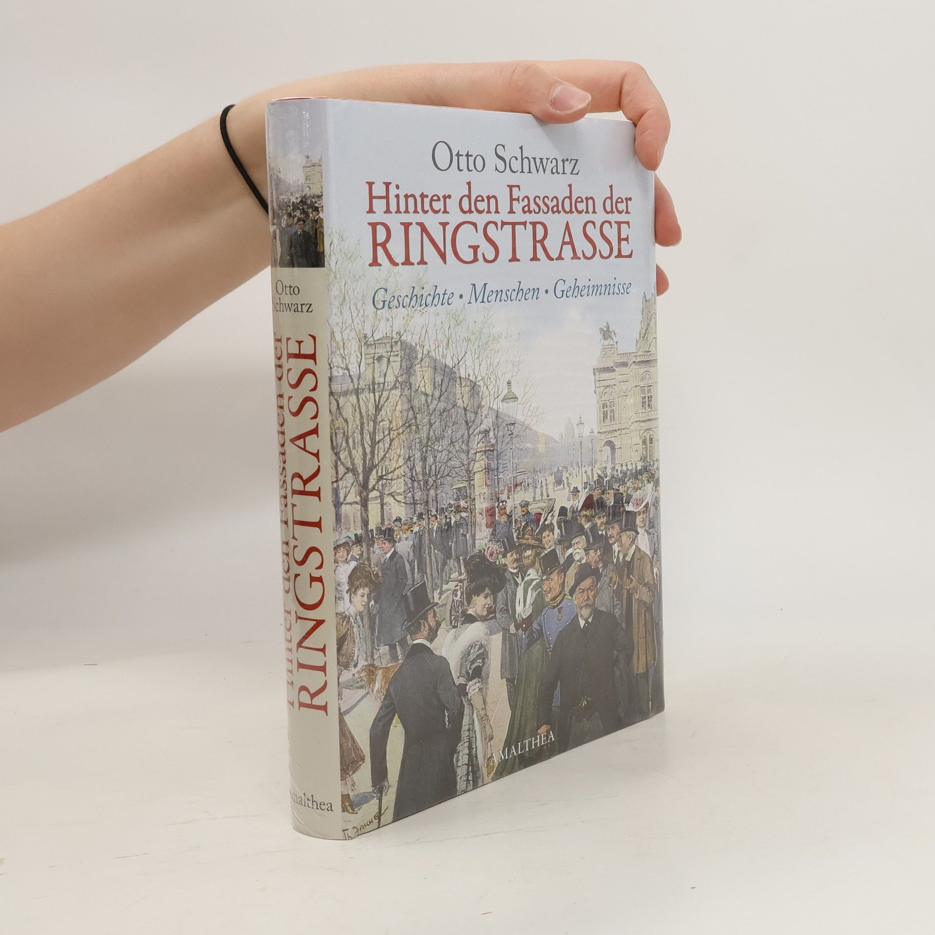 Hinter den Fassaden der Ringstrasse