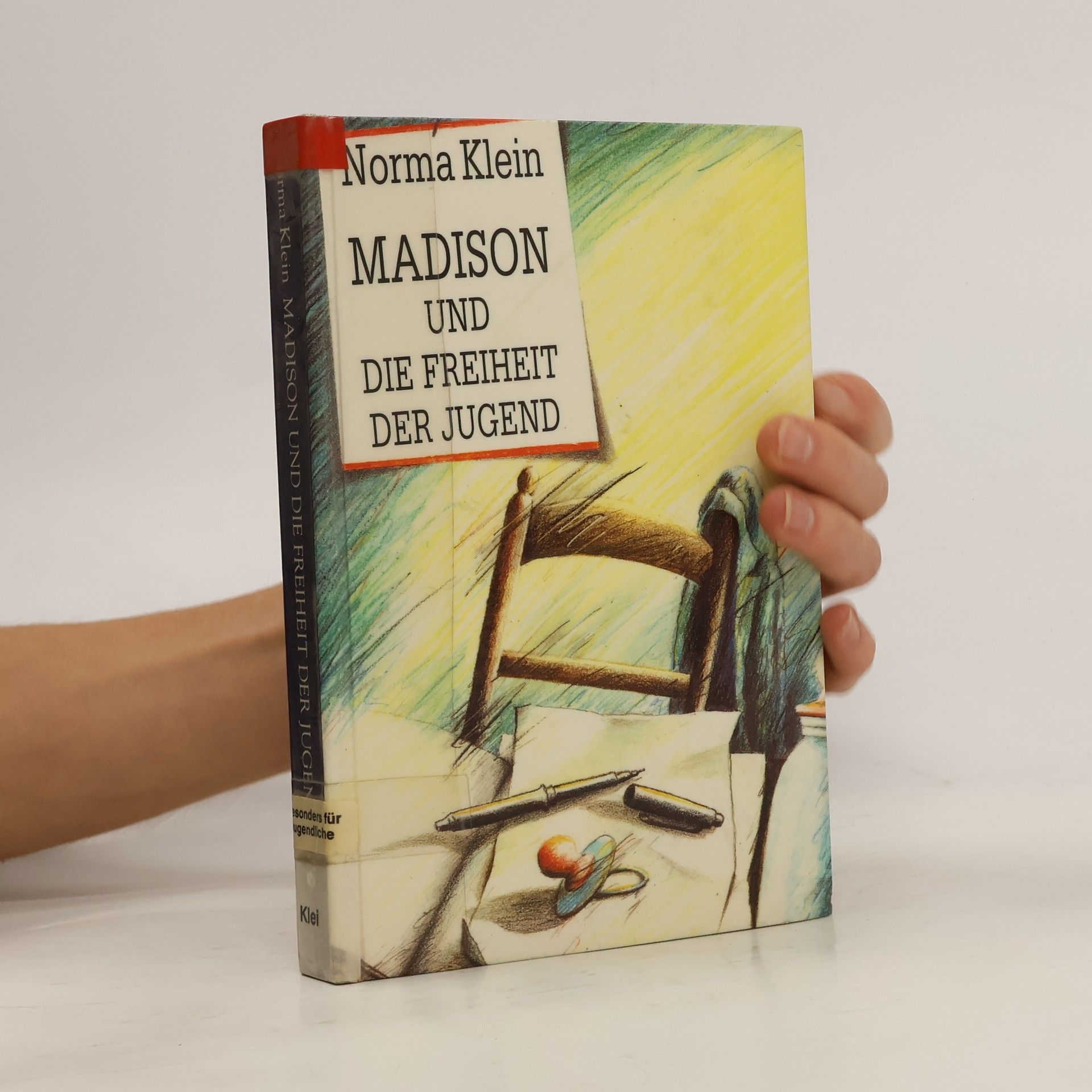 Norma Klein Madison und die Freiheit der Jugend