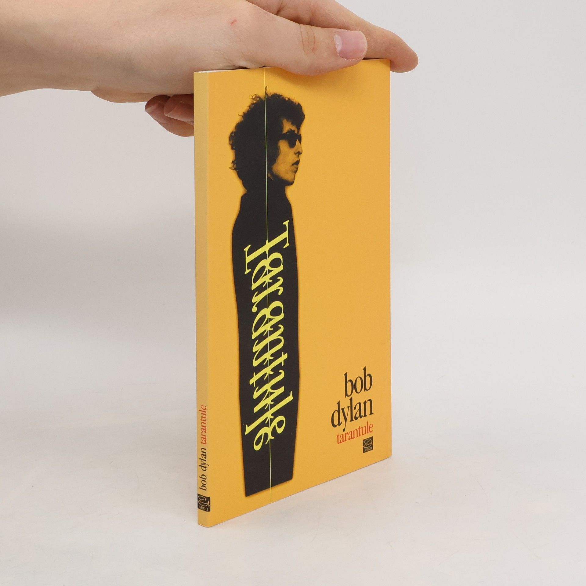 Bob Dylan Tarantule: Básně