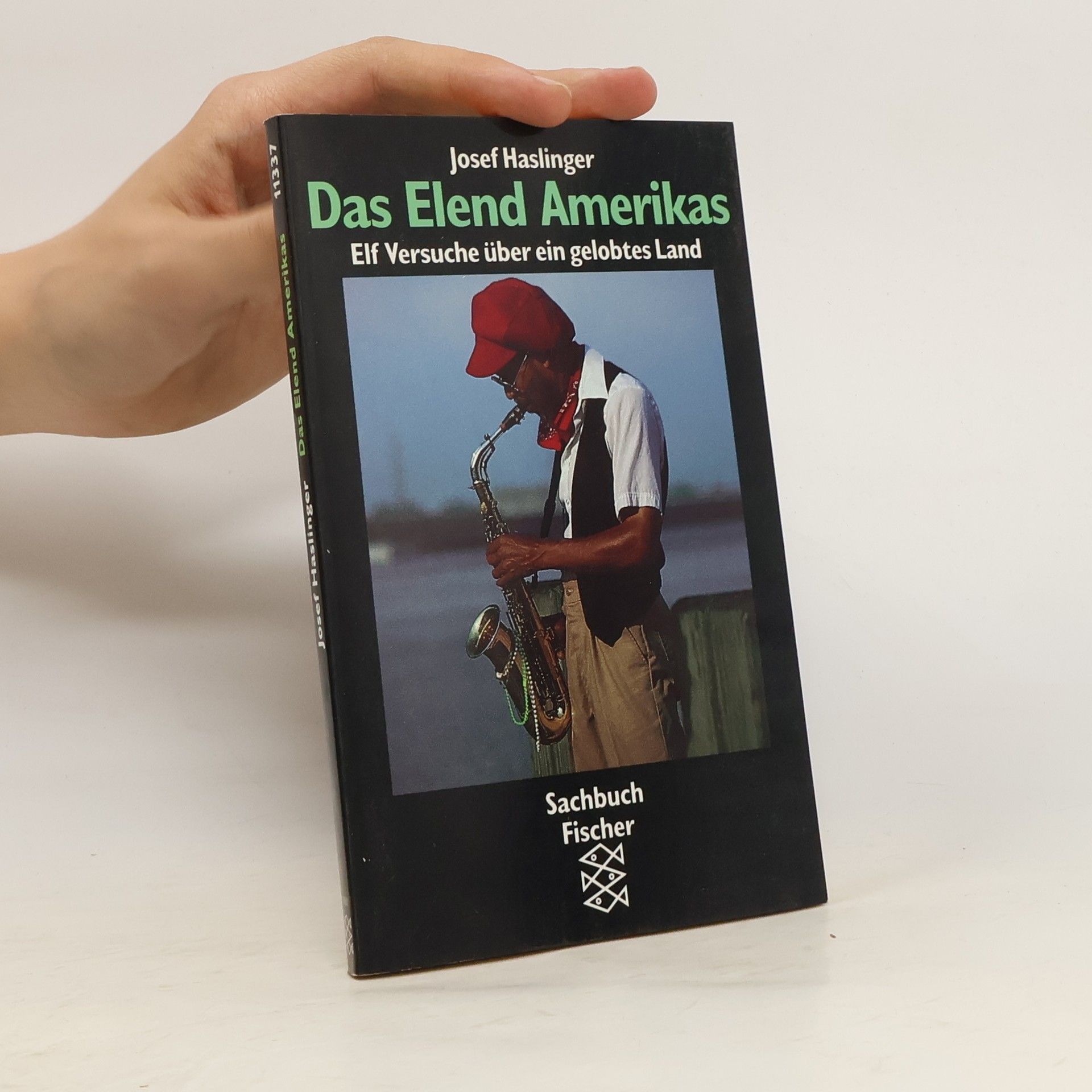 Josef Haslinger Das Elend Amerikas