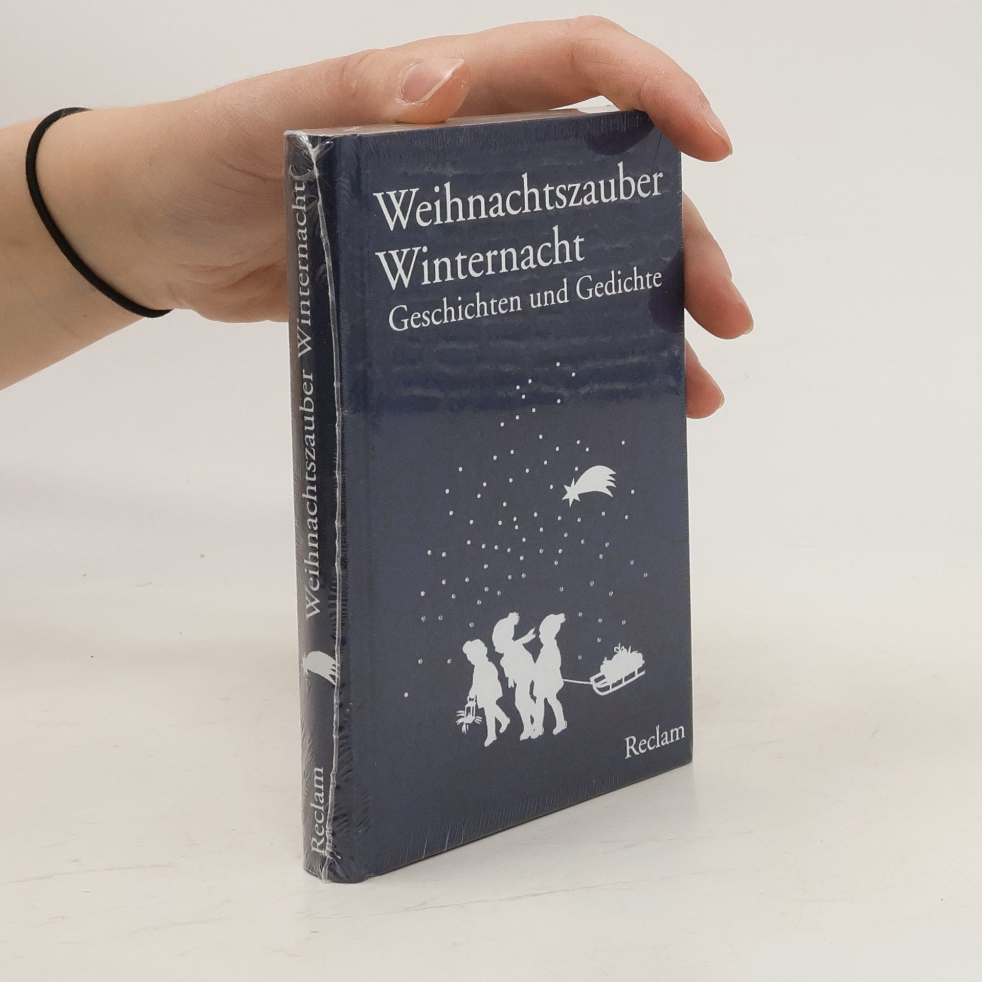 Stephan Koranyi Weihnachtszauber Winternacht