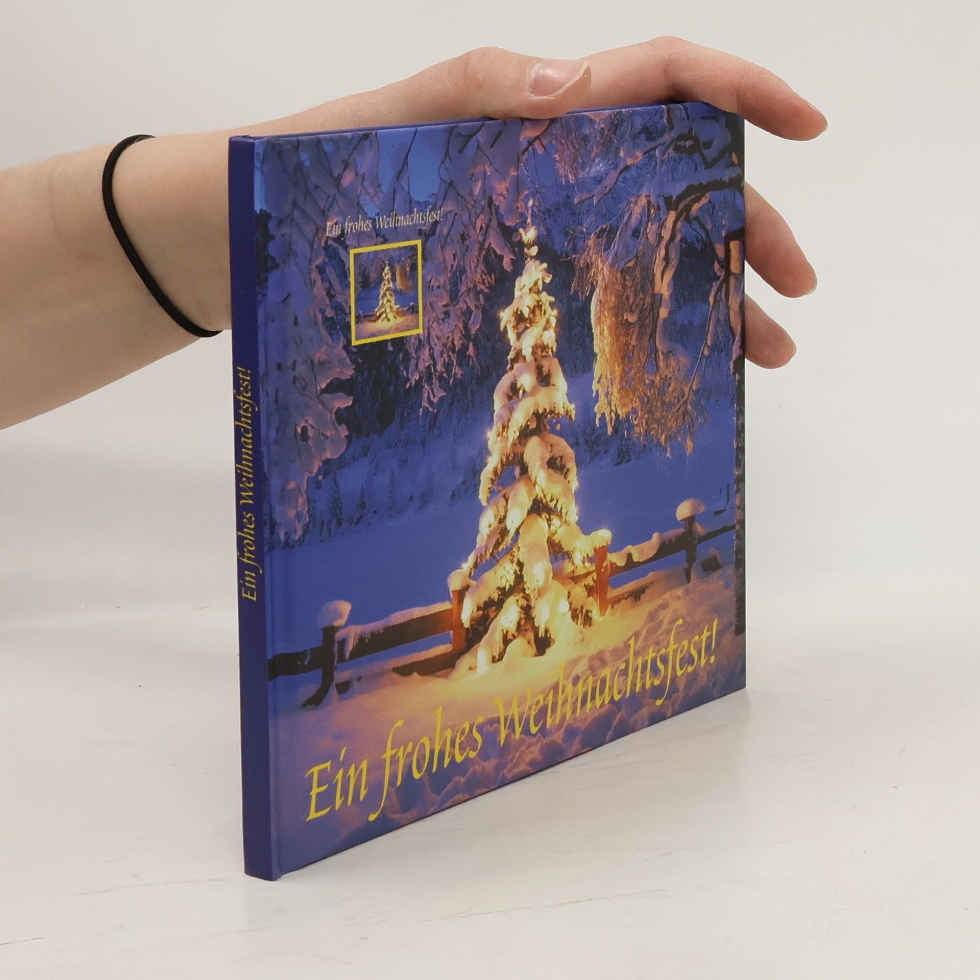 Autorenkollektiv Ein frohes Weihnachtsfest!