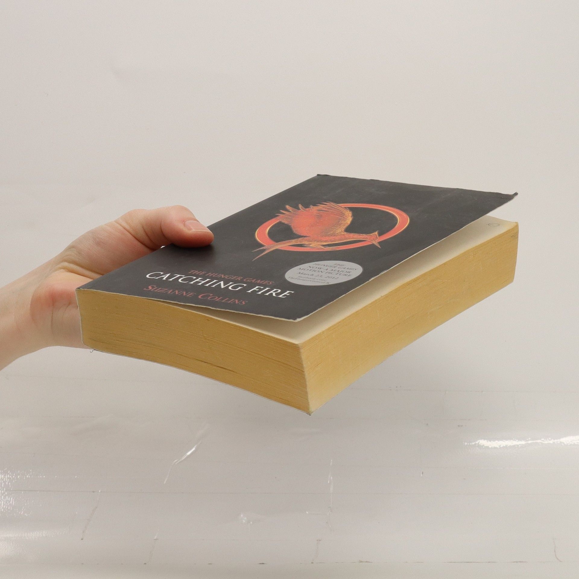 Suzanne Collins Catching Fire