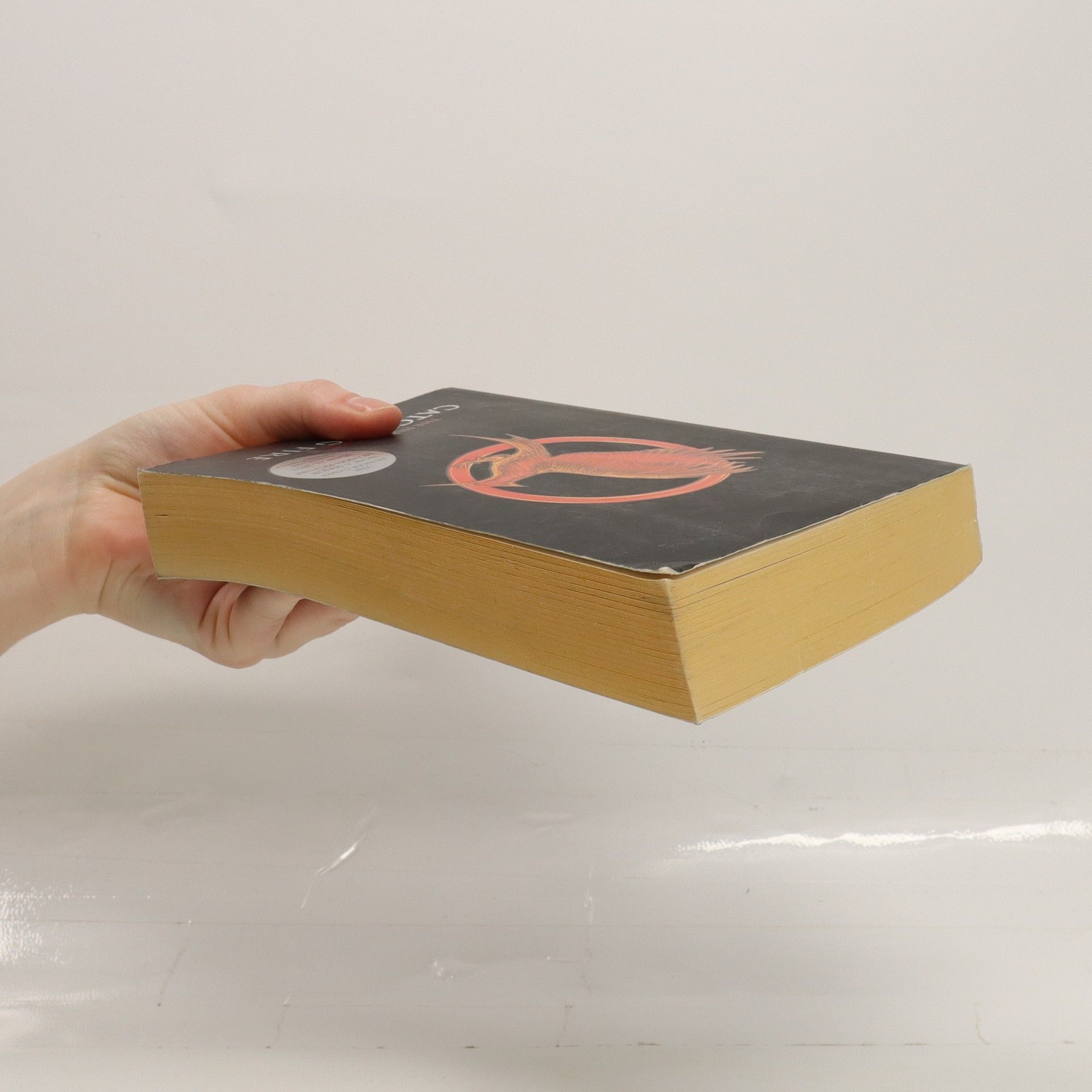 Suzanne Collins Catching Fire